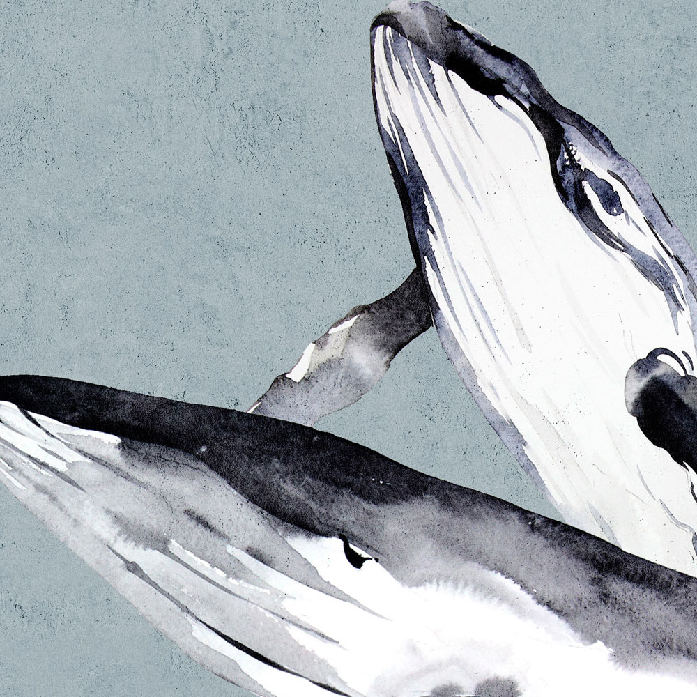             Oceans Five 1 – Fototapete Wale & Delfine im Aquarell Stil
        