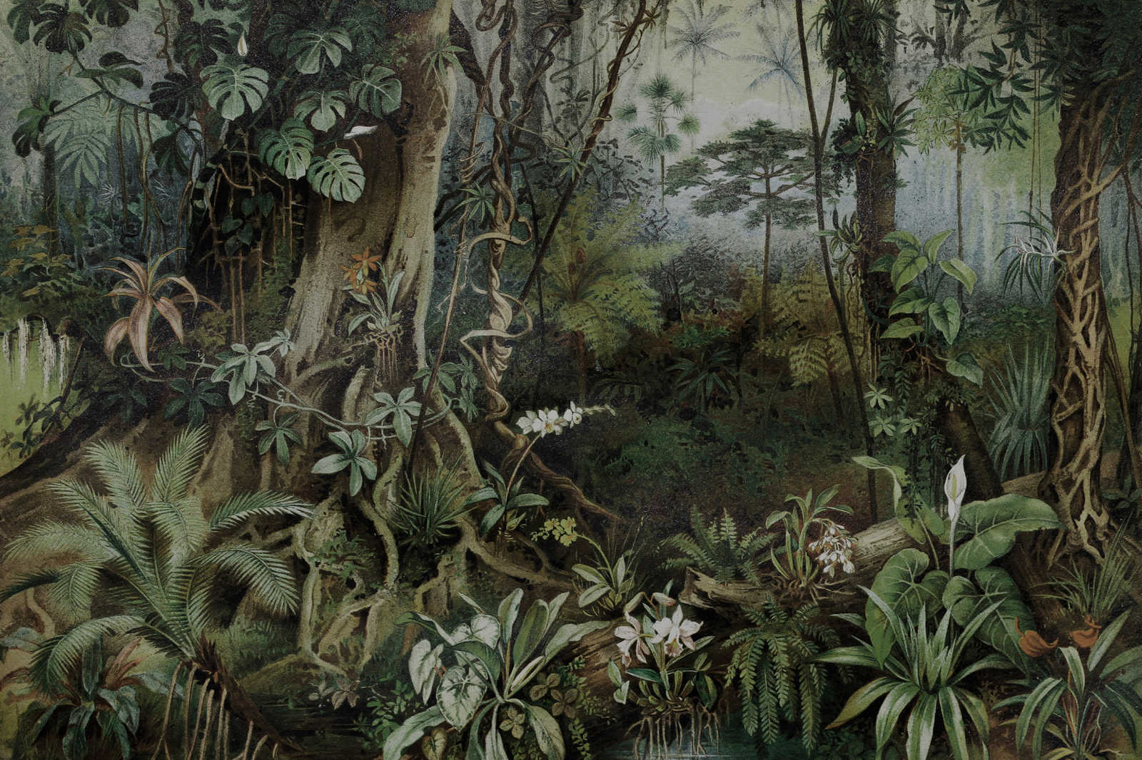             Dschungel Leinwandbild im Zeichenstil | walls by patel – 0,90 m x 0,60 m
        