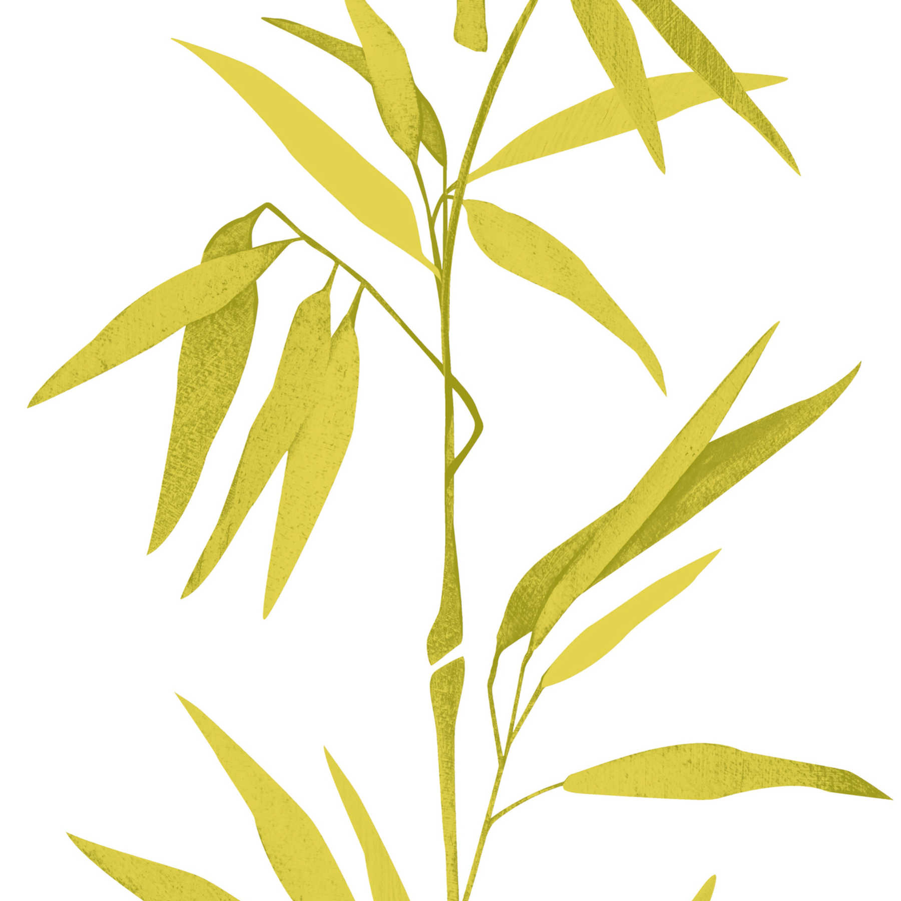             Vliestapete Weiß mit Bambus Muster – Grün, Weiß
        