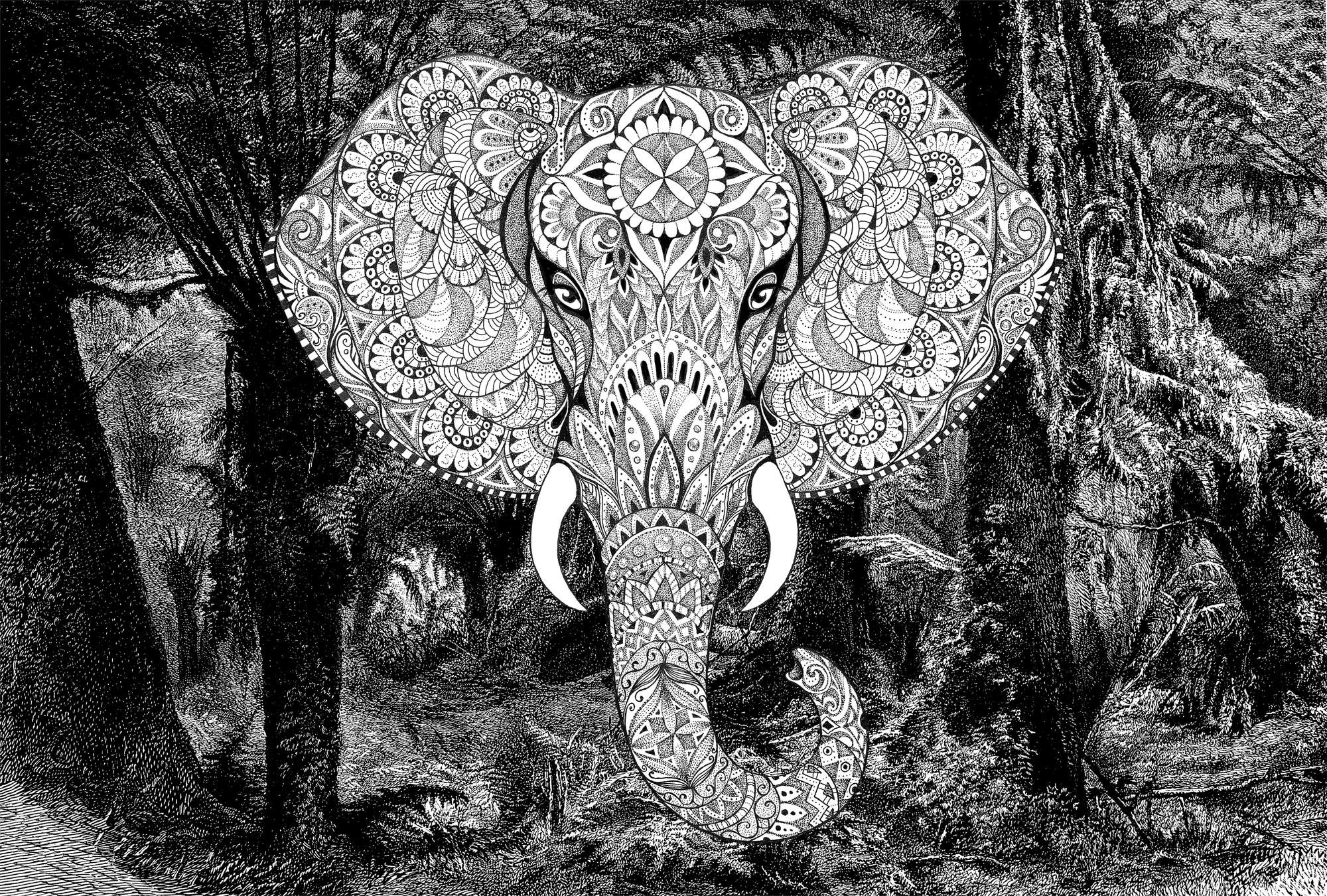             Fototapete Elefant im Boho-Stil mit Dschungelmotiv – Grau, Weiß, Schwarz
        