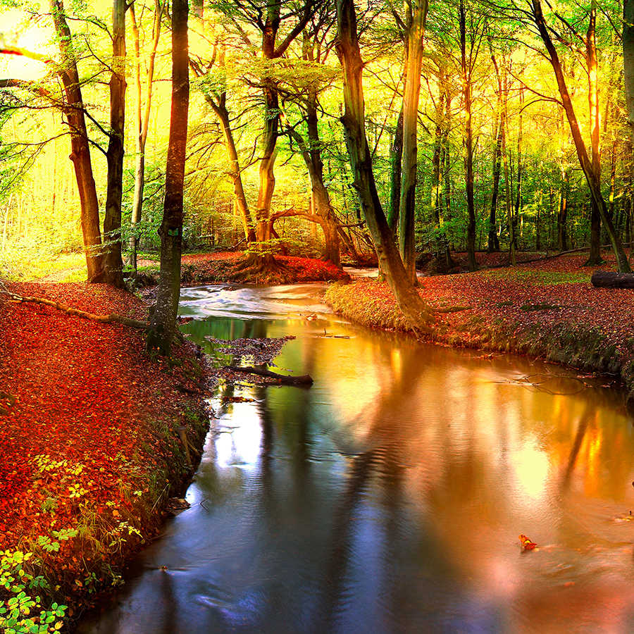         Natur Fototapete Wald mit Flusslauf auf Premium Glattvlies
    
