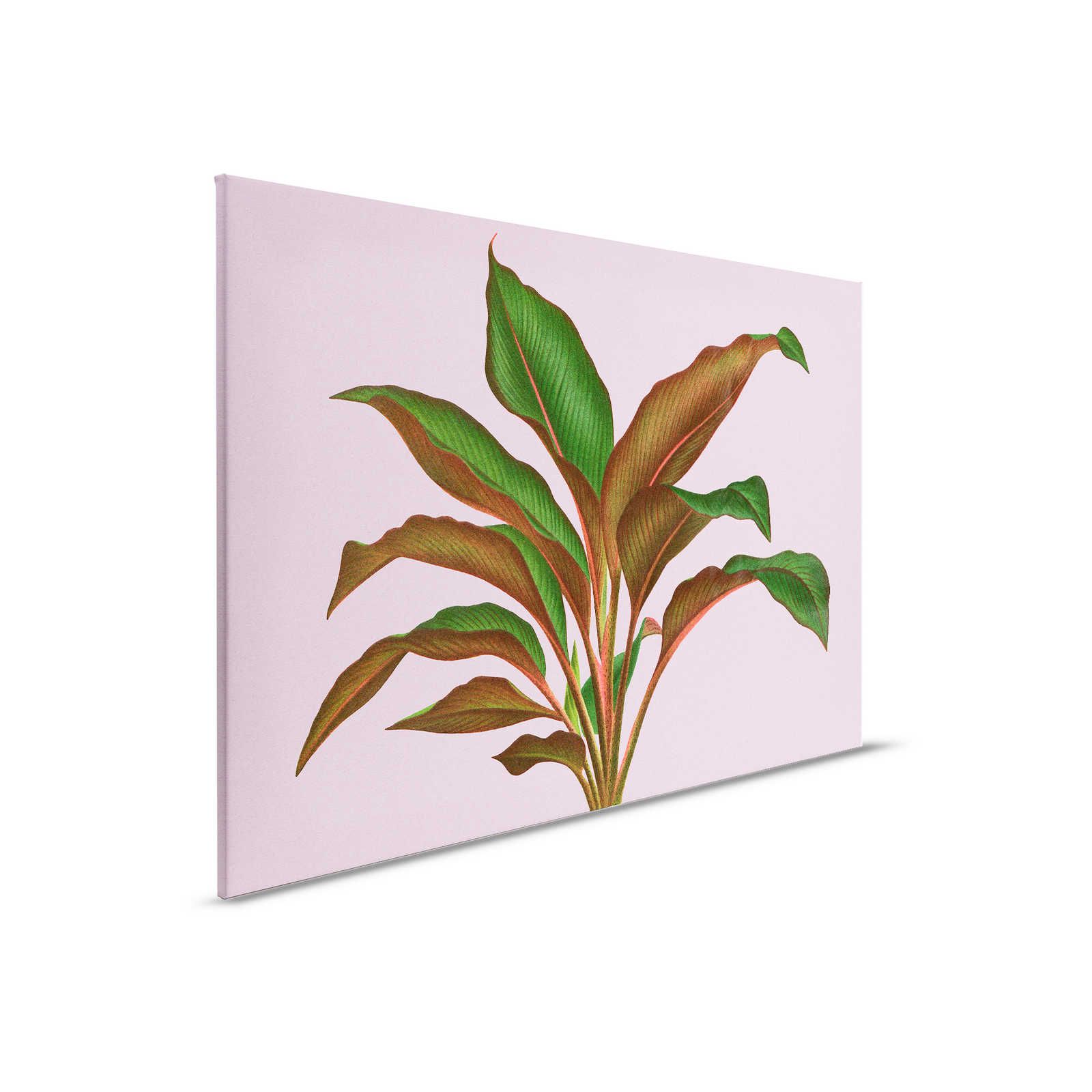         Leaf Garden 3 - Blätter Leinwandbild Rosa mit tropischem Farnblatt – 0,90 m x 0,60 m
    