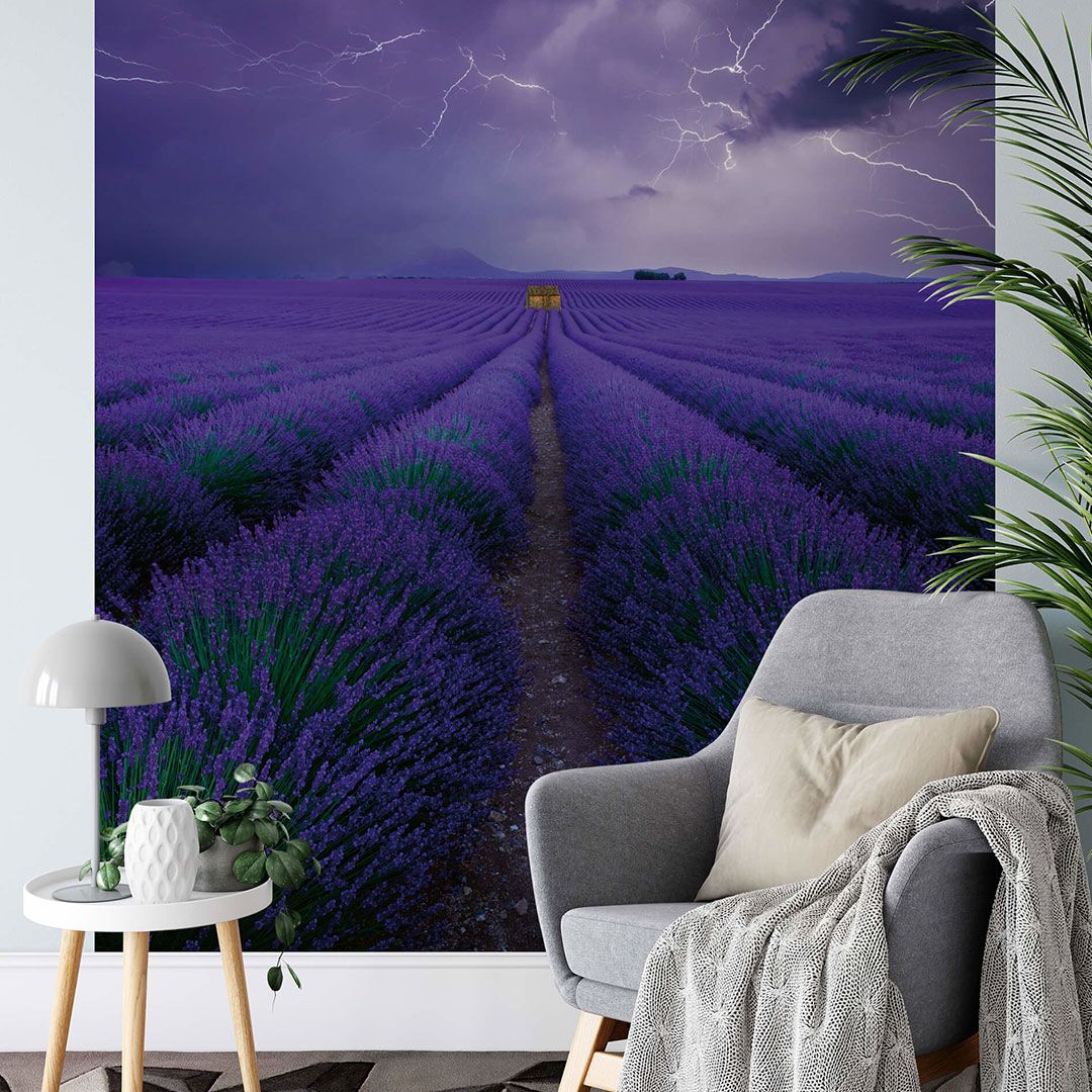 Fototapete Lavendel Feld tapeziert im Wohnzimmer DD119090