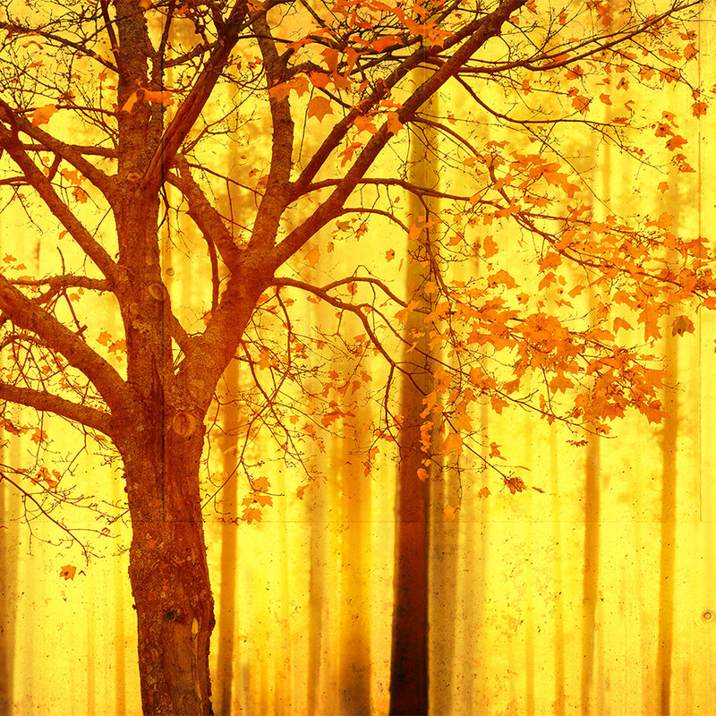 Fototapete Wald mit Betonstruktur & Farbverlauf – Orange, Gelb, Schwarz
