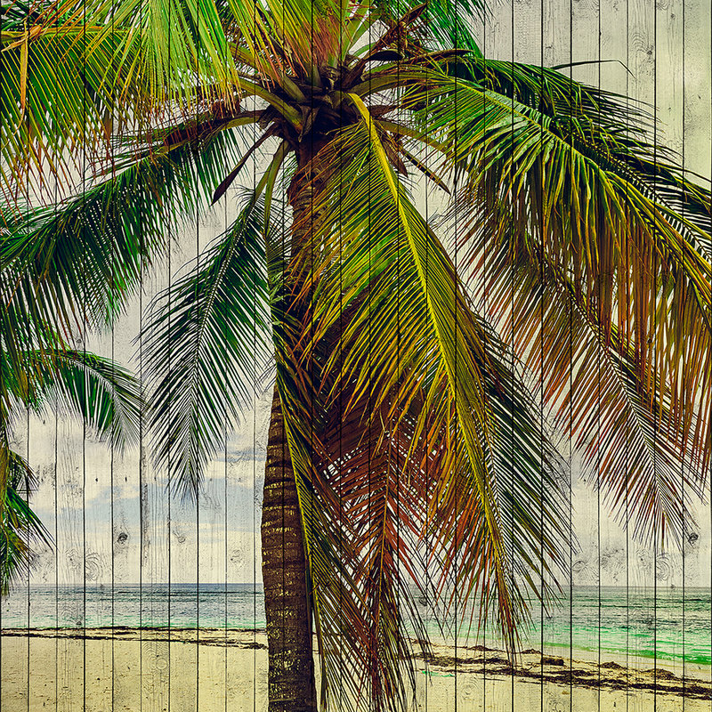 Tahiti 3 - Palmen Fototapete mit Urlaubsfeeling - Holzpaneele Struktur – Beige, Blau | Mattes Glattvlies
