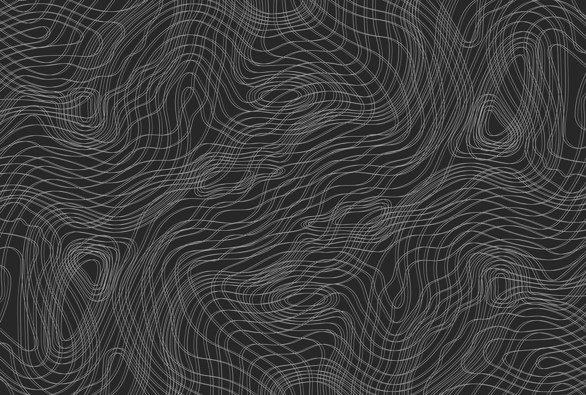             Dunkle Fototapete mit Linienmuster, minimalistisch – Schwarz, Weiß
        