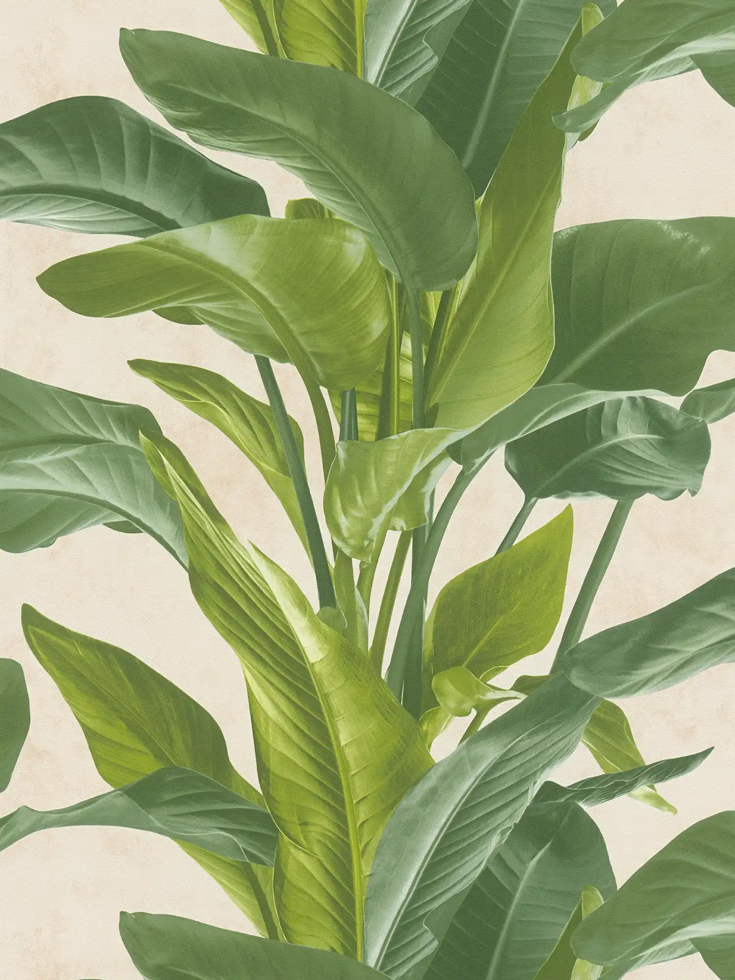         Vliestapete mit modernem Blätter-Design – Creme, Grün
    