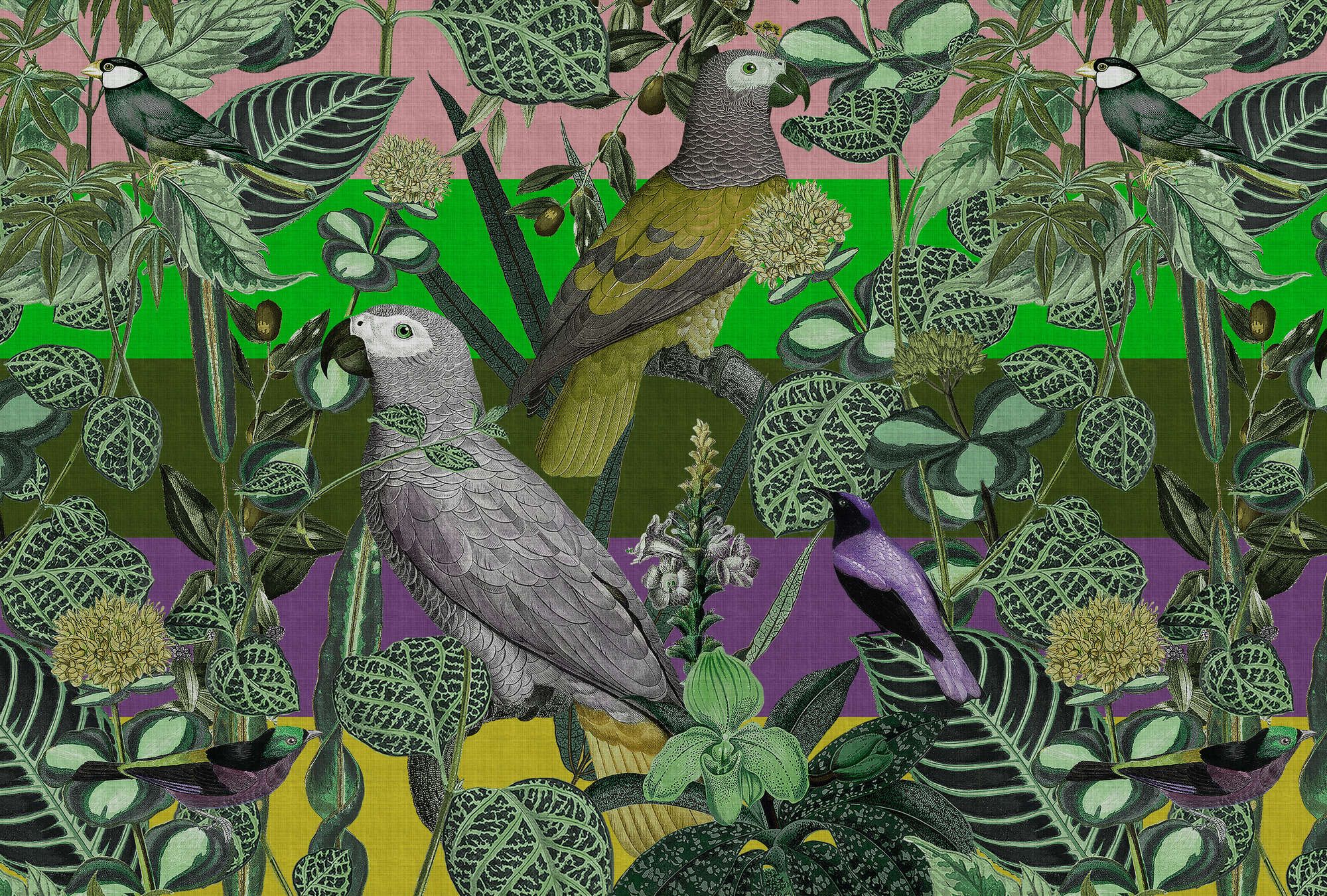             Fototapete »amazona 2« - Exotische Vögel – Grün | Glattes, leicht perlmutt-schimmerndes Vlies
        