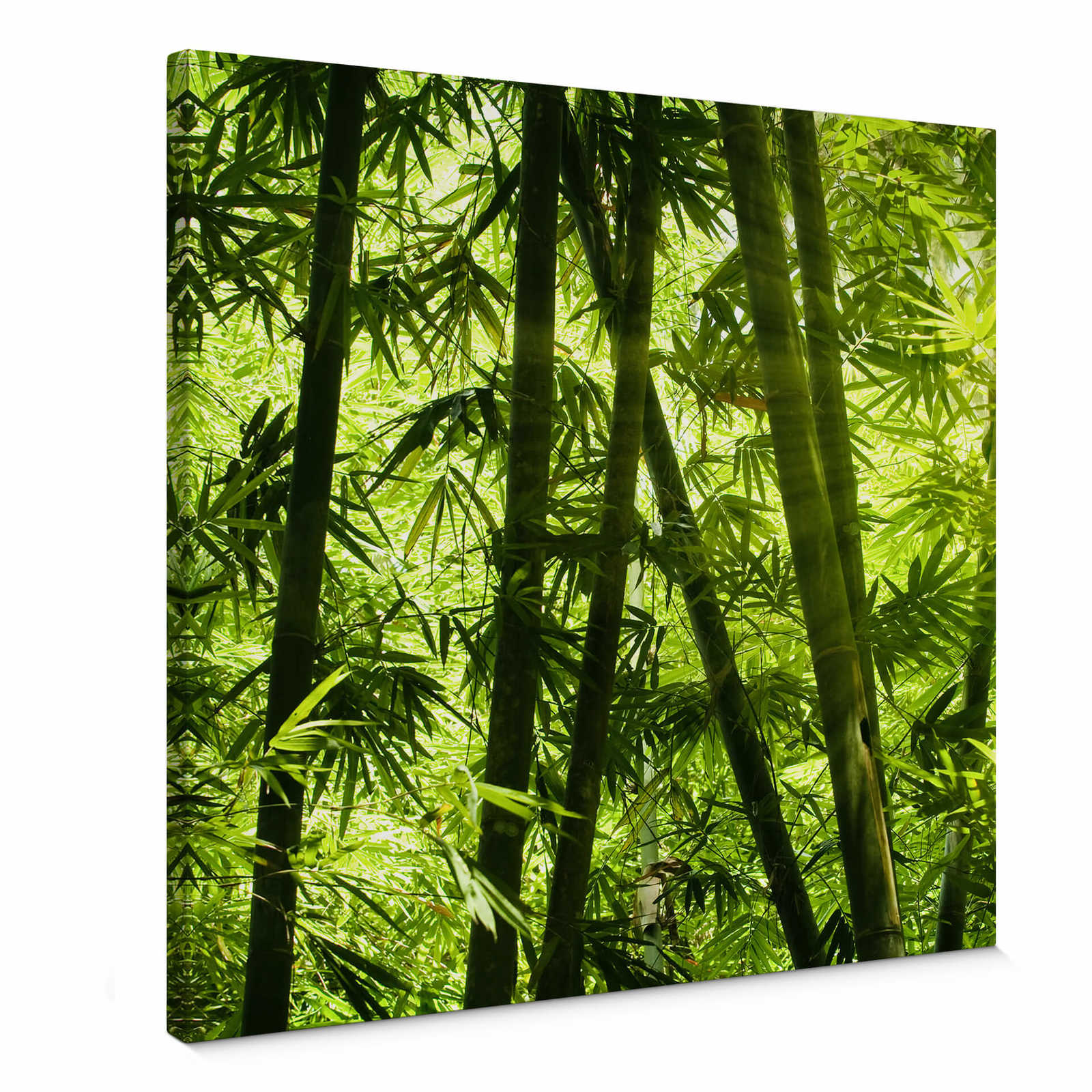         Quadratisches Leinwandbild Bambuswald und Sonnenschein – 0,50 m x 0,50 m
    
