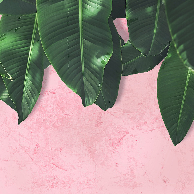 Fototapete tropische Blätterwand – Rosa, Grün

