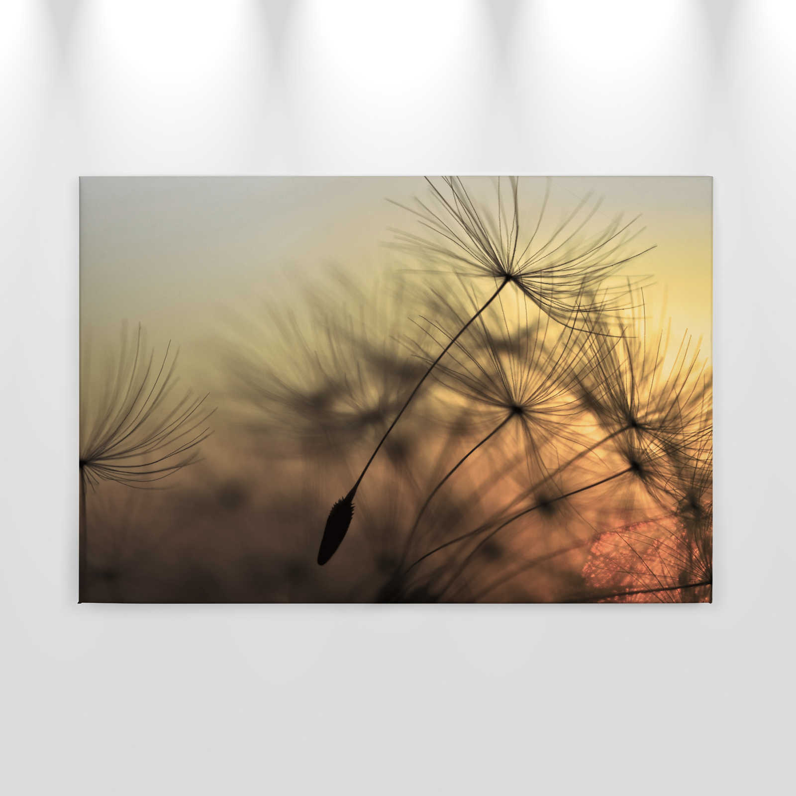             Leinwand mit fliegender Pusteblume im Sonnenuntergang – 0,90 m x 0,60 m
        