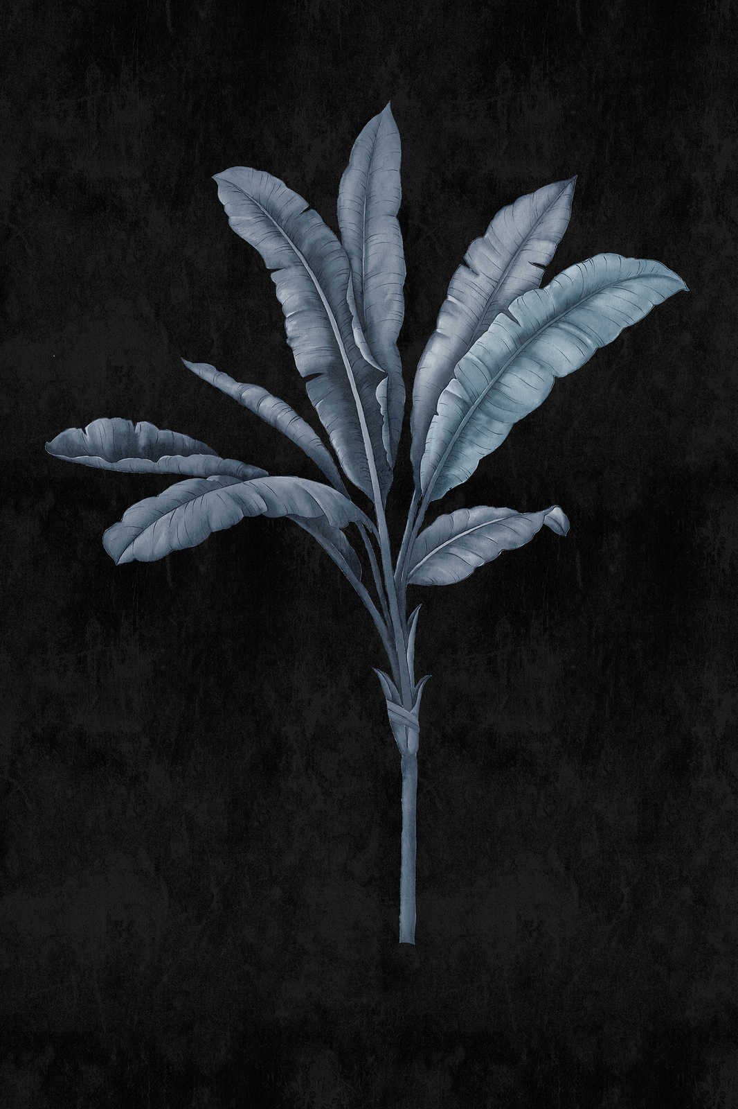             Fiji 2 - Leinwandbild Schwarz mit Blau Grauem Palmen-Motiv – 0,80 m x 1,20 m
        