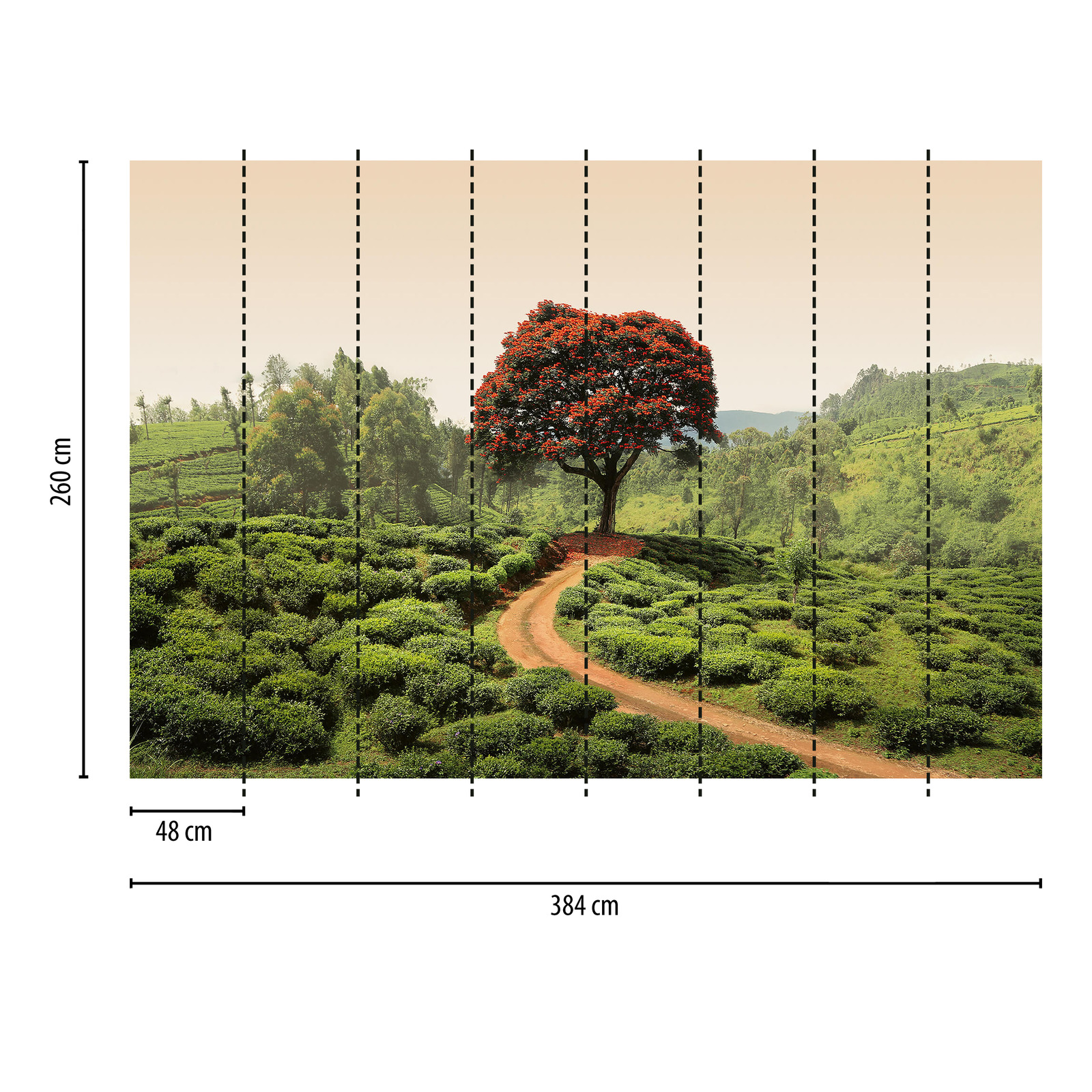             Fototapete Landschaft in Sri Lanka – Grün, Rot, Braun
        