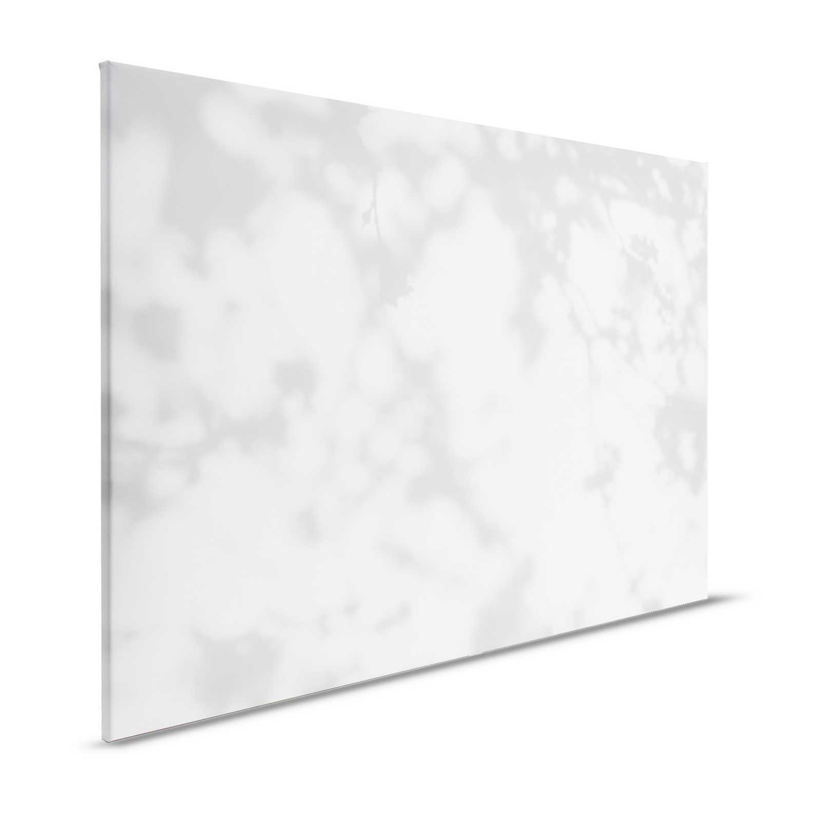 Light Room 1 - Leinwandbild Natur Schatten in Grau & Weiß – 1,20 m x 0,80 m
