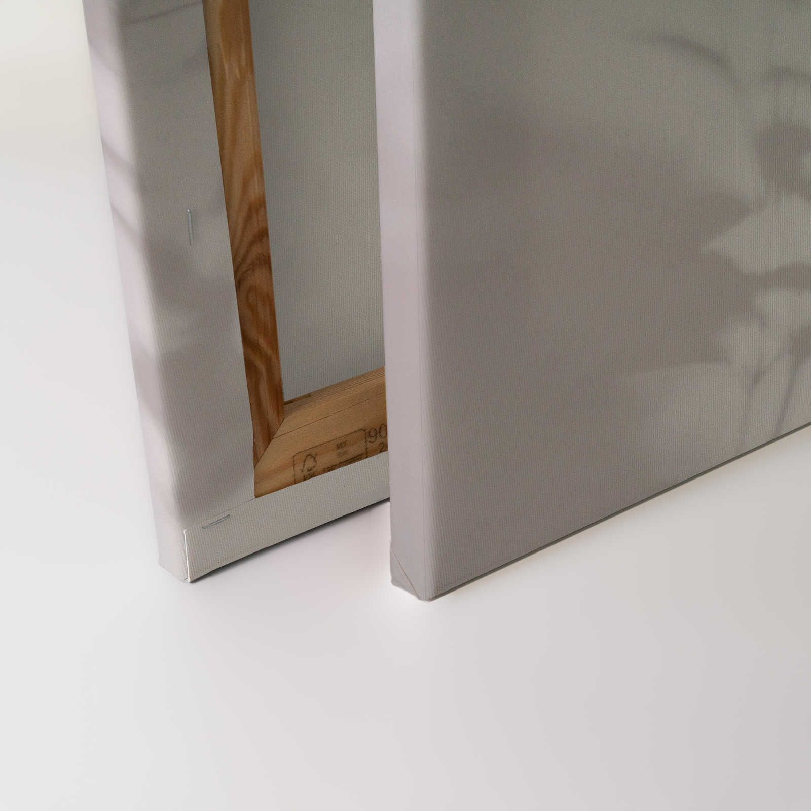             Shadow Room 2 - Natur Leinwandbild Grau & Weiß, verblasstes Design – 0,90 m x 0,60 m
        