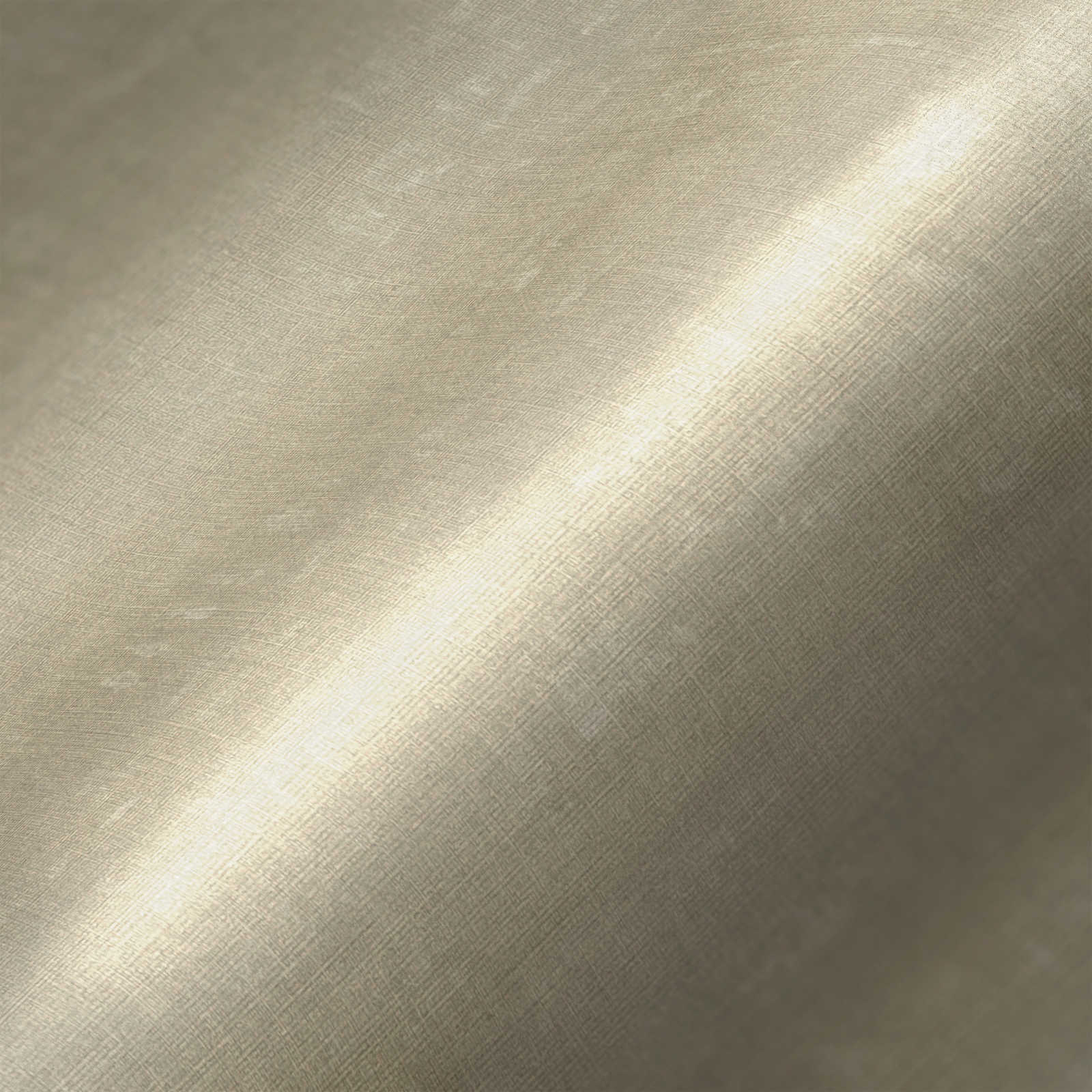             Vliestapete einfarbig mit Struktureffekt – Grau, Beige
        