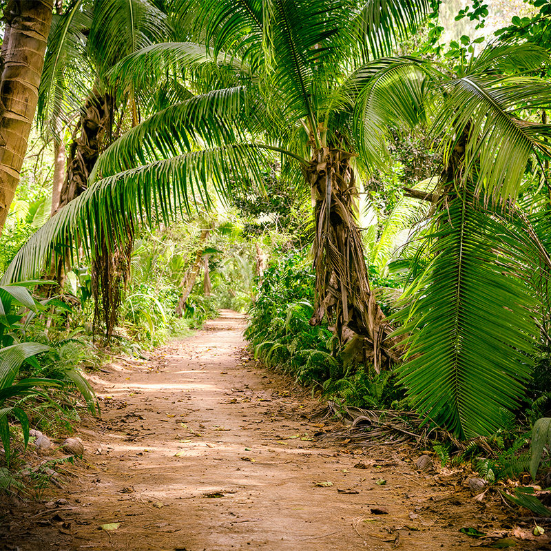 Palmenweg durch eine tropische Landschaft – Grün, Braun
