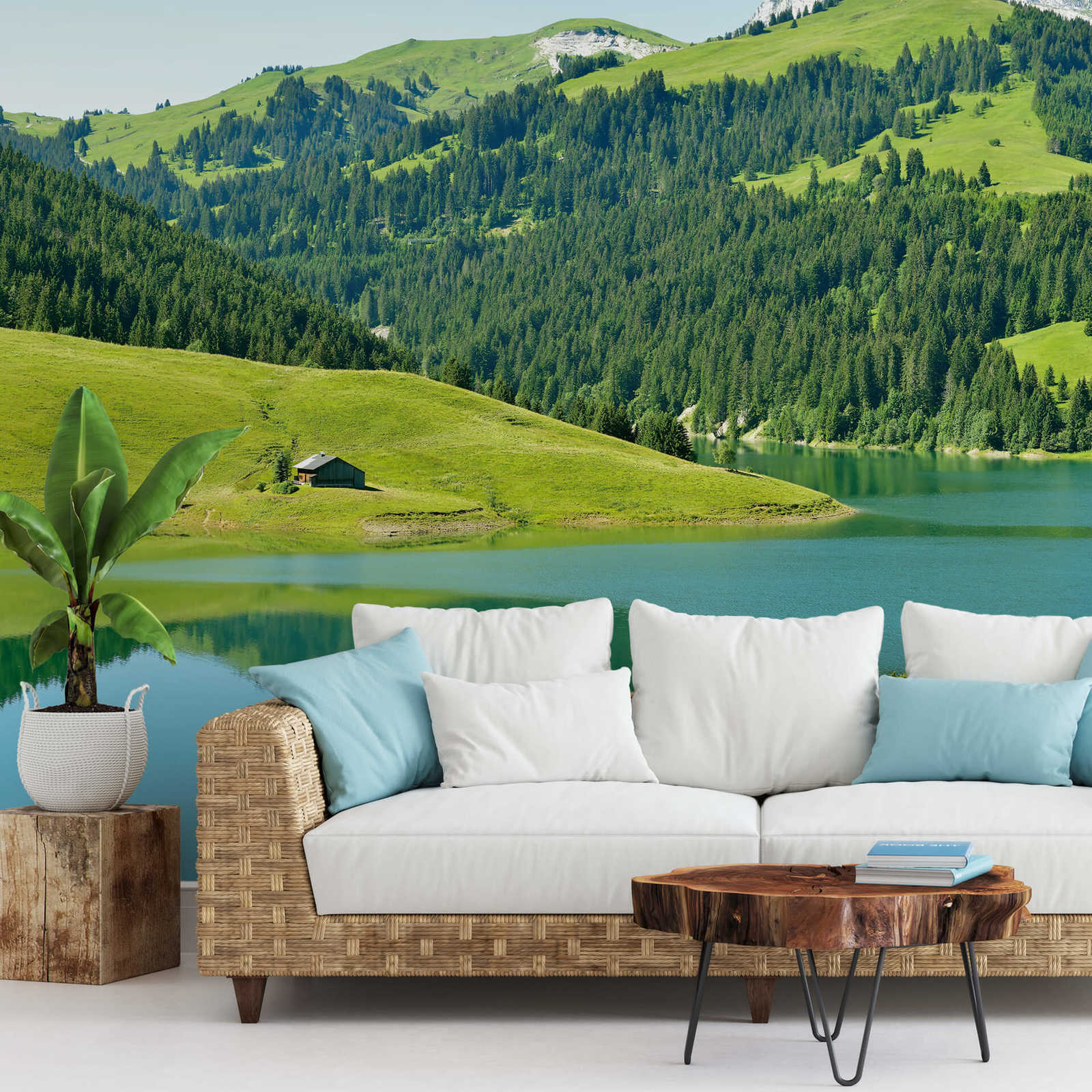            Fototapete Berg mit See in Schweiz – Grün, Blau, Grau
        