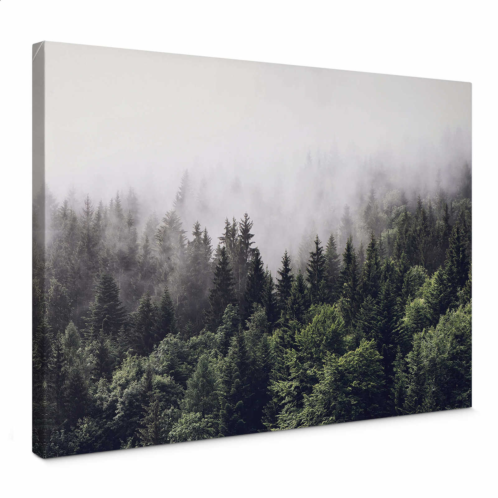         Leinwandbild Wald im Morgennebel – 0,70 m x 0,50 m
    