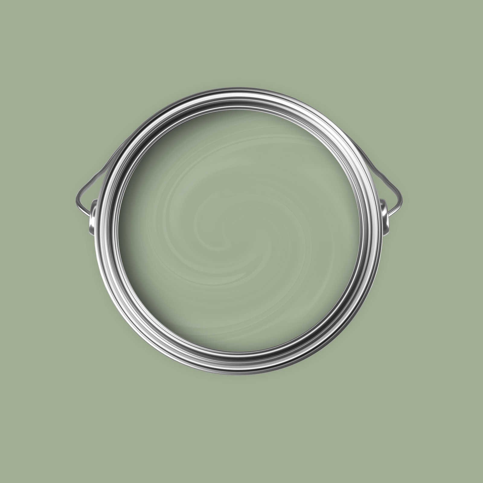             Premium Wandfarbe erdendes Olivgrün »Gorgeous Green« NW502 – 5 Liter
        
