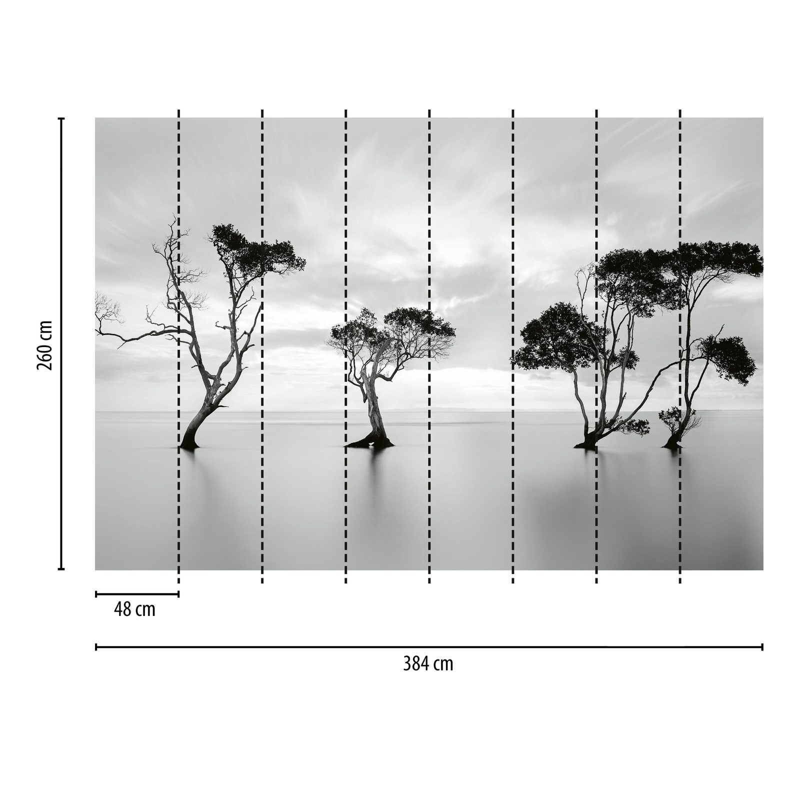             Fototapete Bäume im Wasser – Weiß, Schwarz, Grau
        