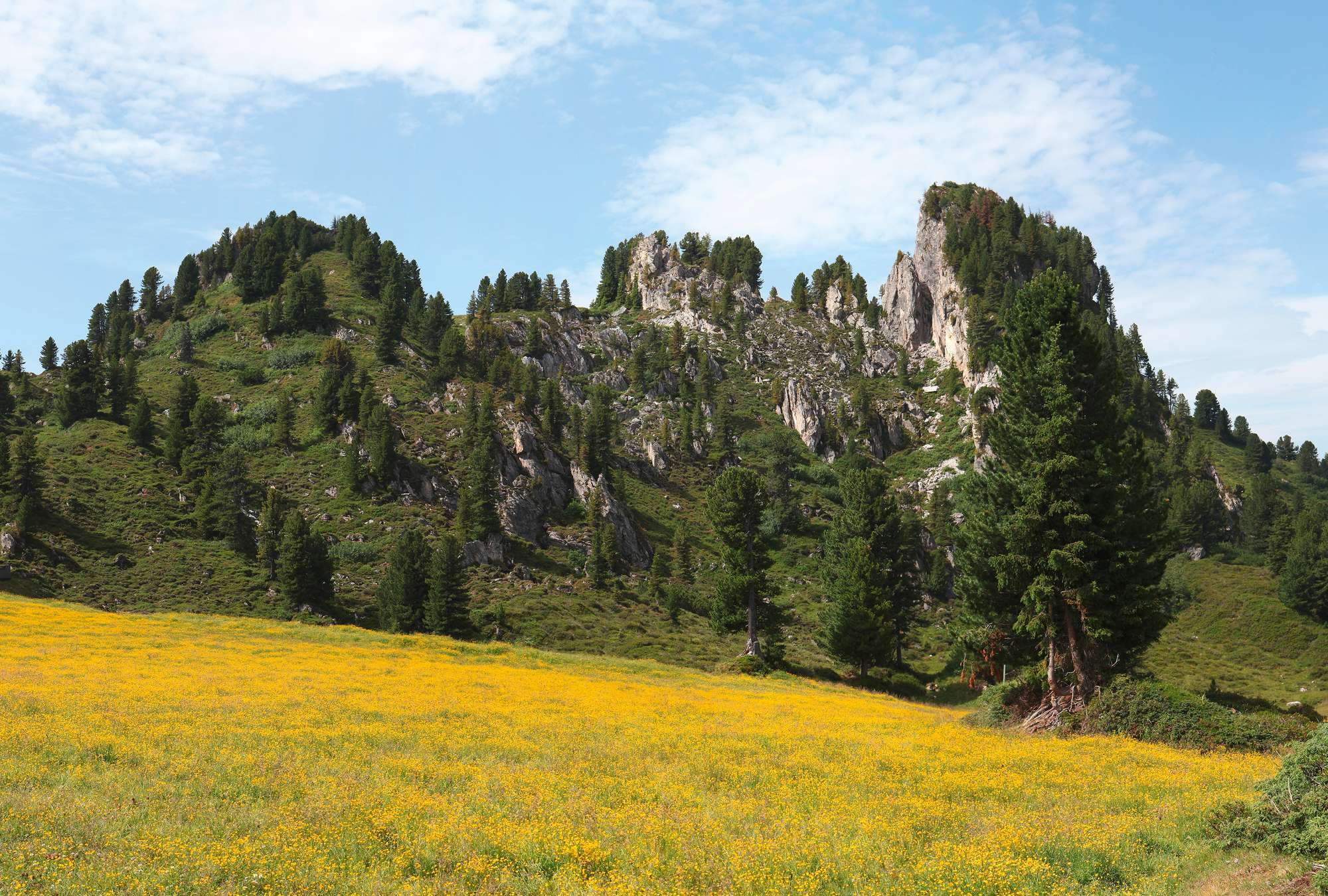             Fototapete Wiesenlandschaft mit Bergen im Hintergrund
        