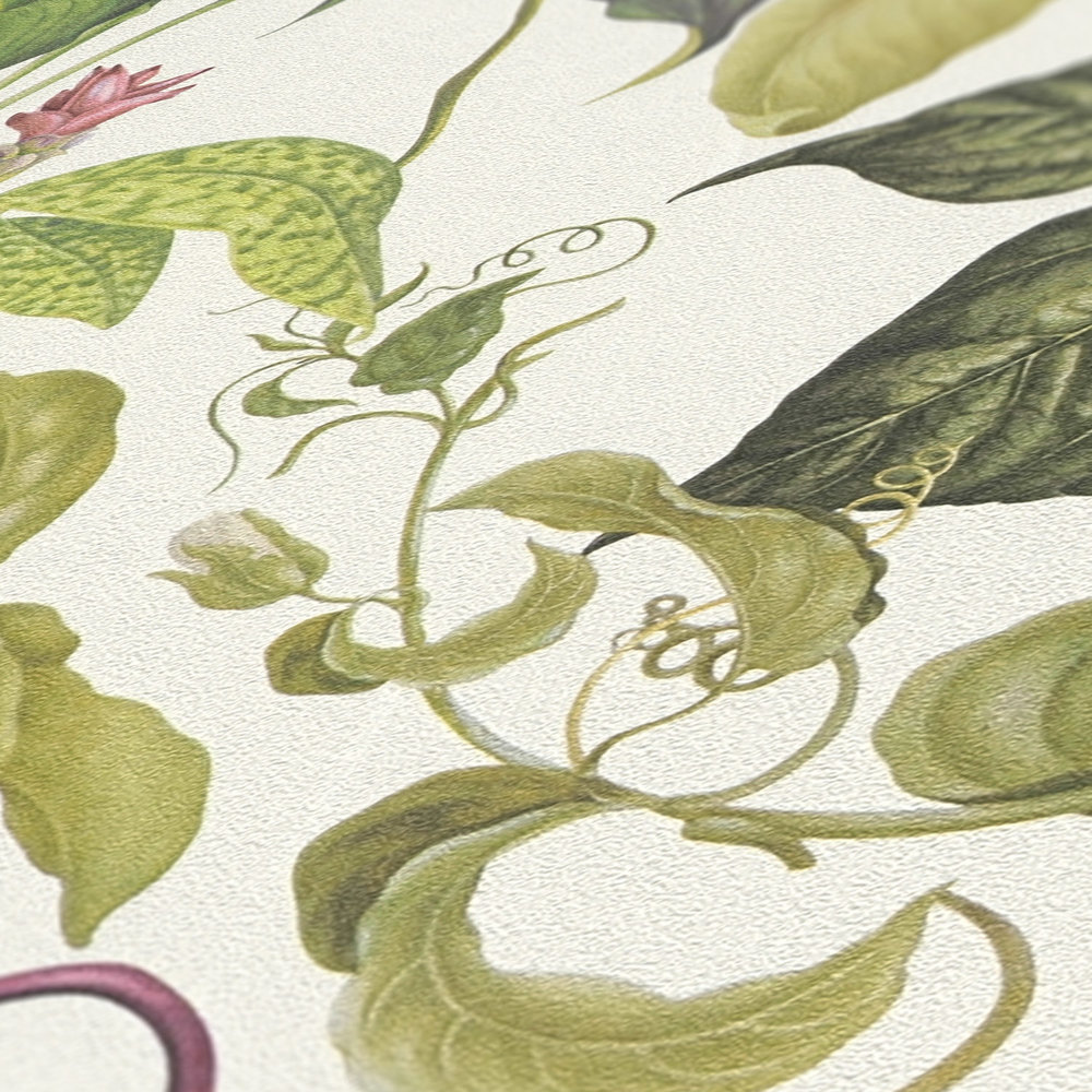             Vliestapete Tropische Blumen von MICHALSKY – Grün, Creme
        