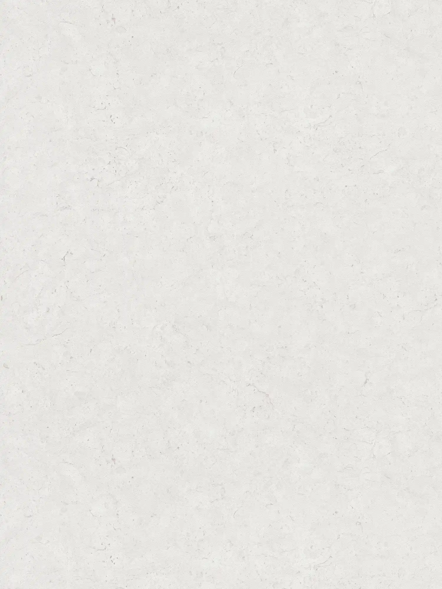 Vliestapete einfarbig mit Betonoptik – Grau, Weiß
