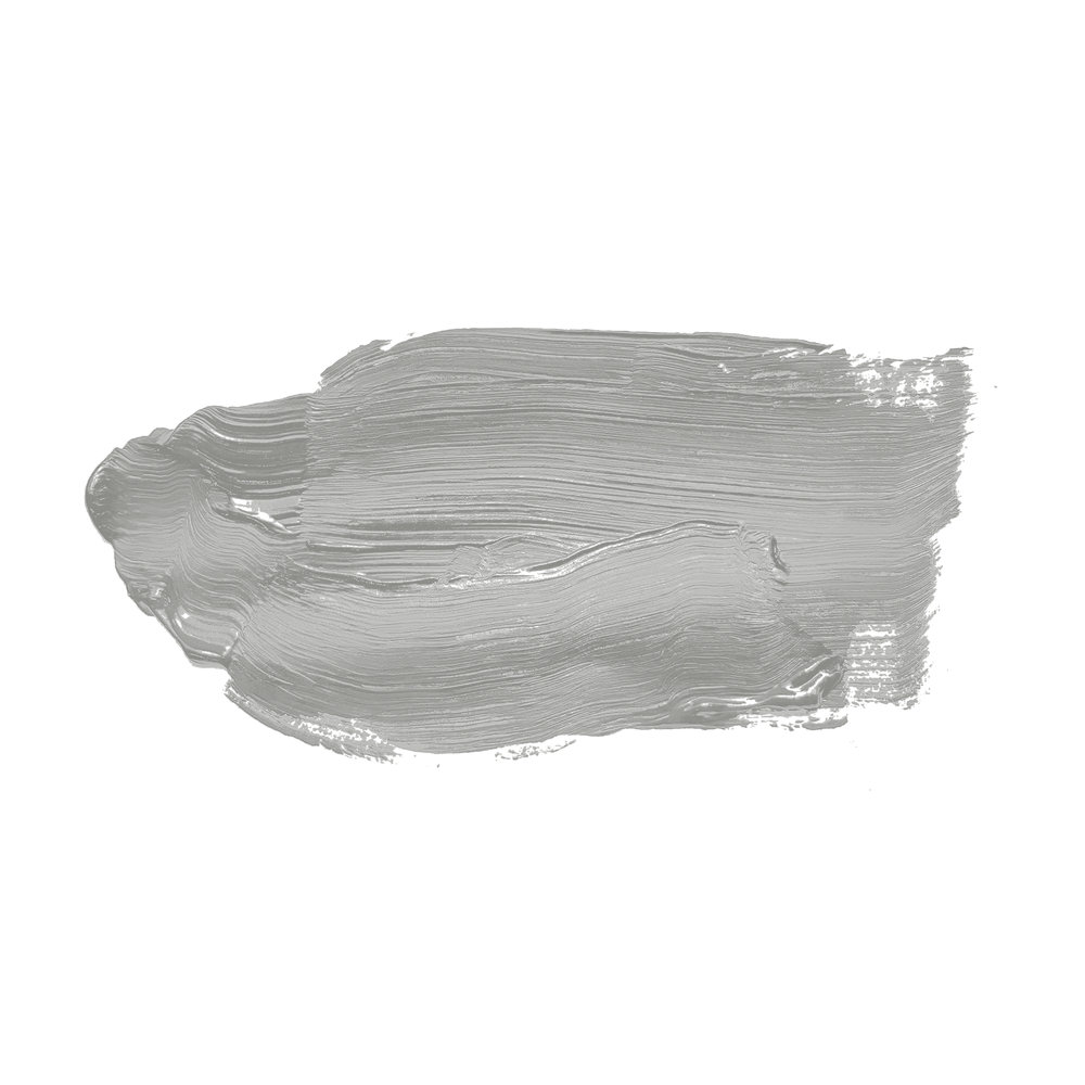             Wandfarbe in kühlem Grau »Shady Spice« TCK1004 – 5 Liter
        