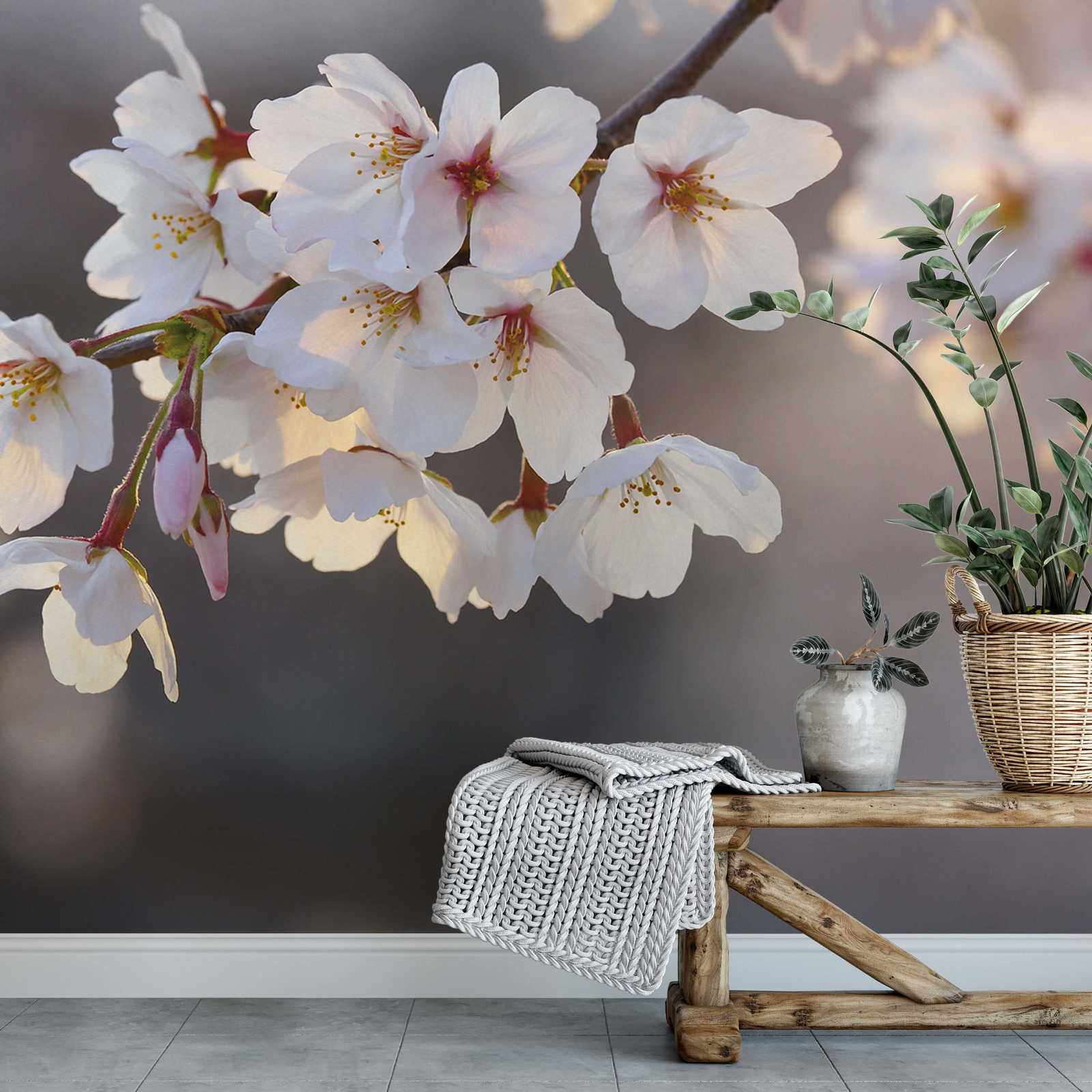             Fototapete Kirschblüten – Weiß, Rosa, Braun
        