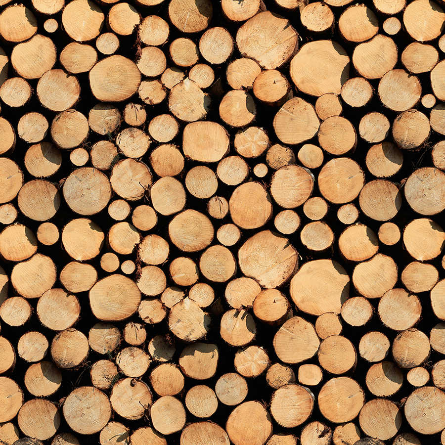 Holz Fototapete gestapeltes Holz auf Premium Glattvlies
