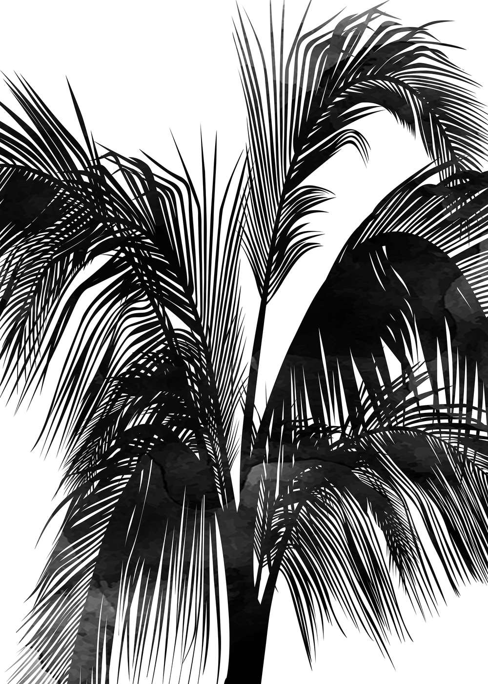             Schwarz-Weiß Fototapete Palmen Sunset Boulevard
        
