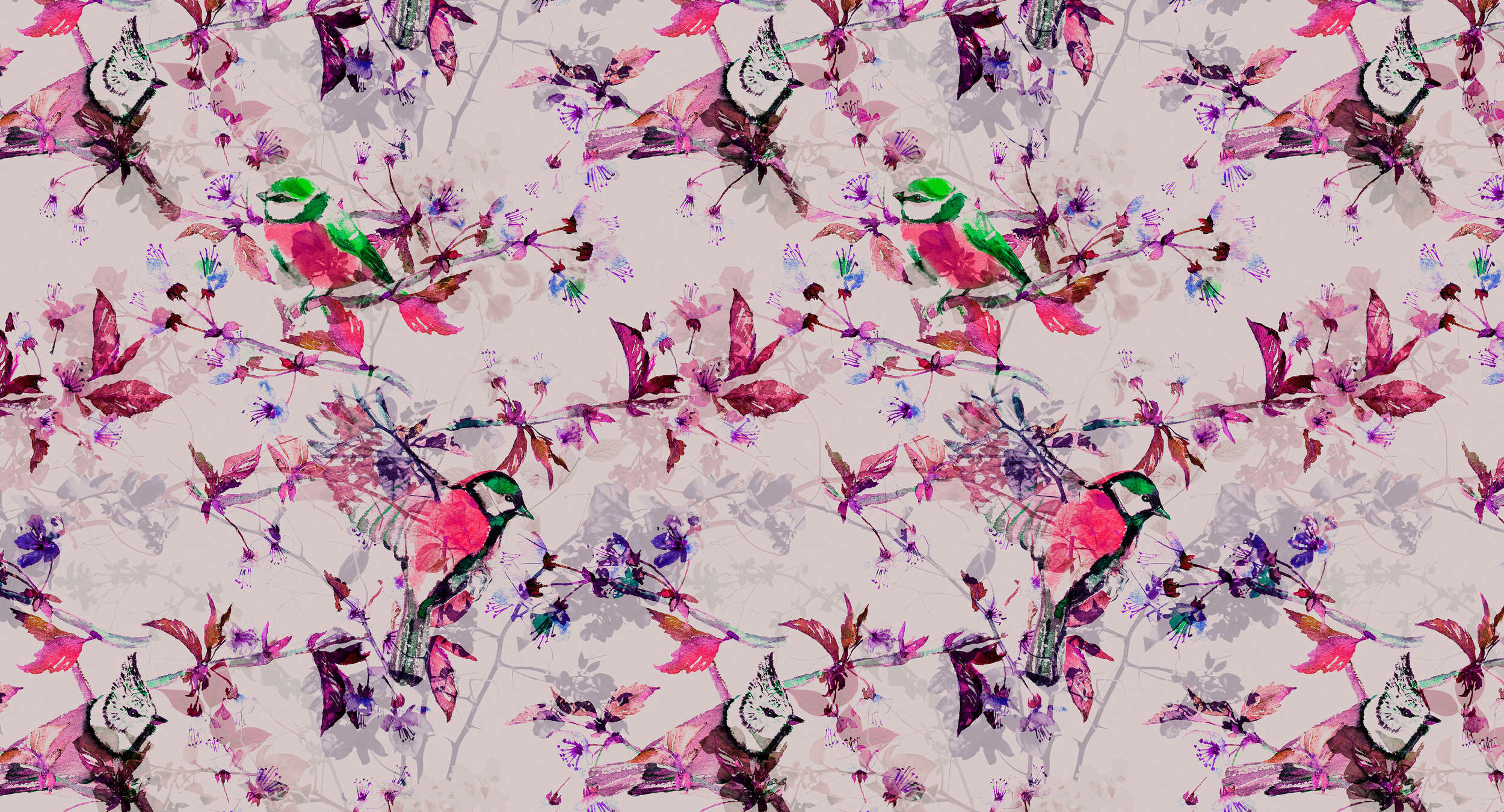             Vögel Fototapete im Collage Stil – Rosa, Blau
        