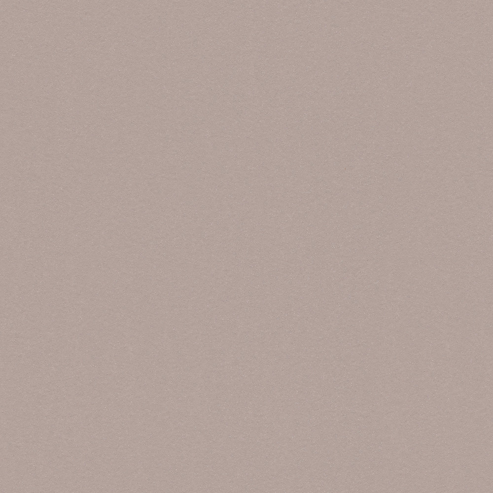             Hellbraune Vliestapete uni, matt & naturfarben – Grau
        