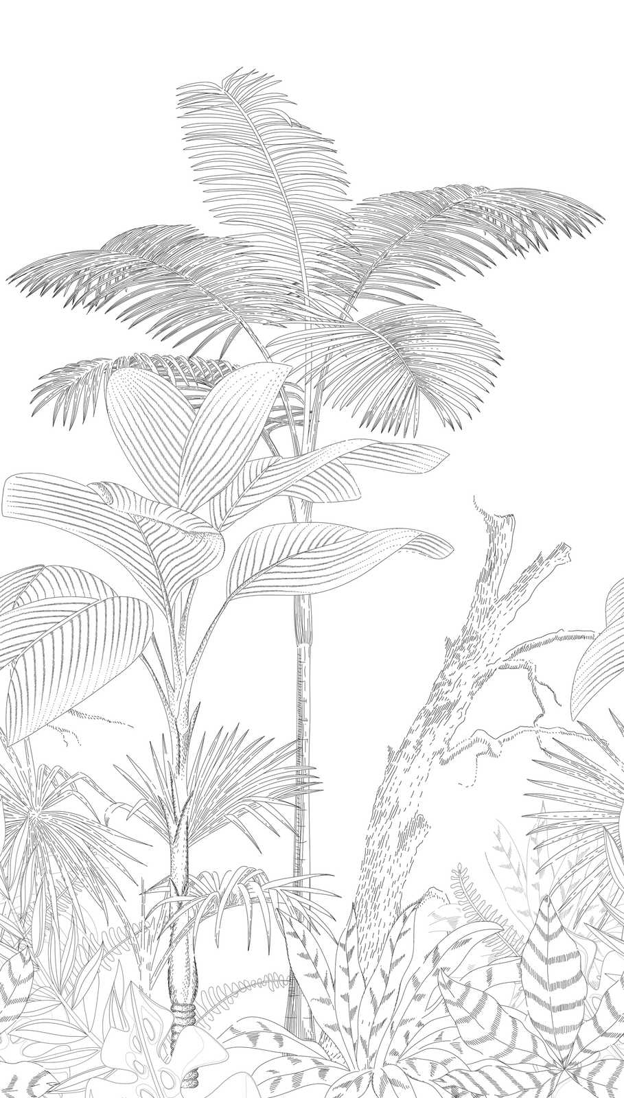             Vliestapete mit gezeichnetem Dschungelmotiv – Schwarz, Weiß
        