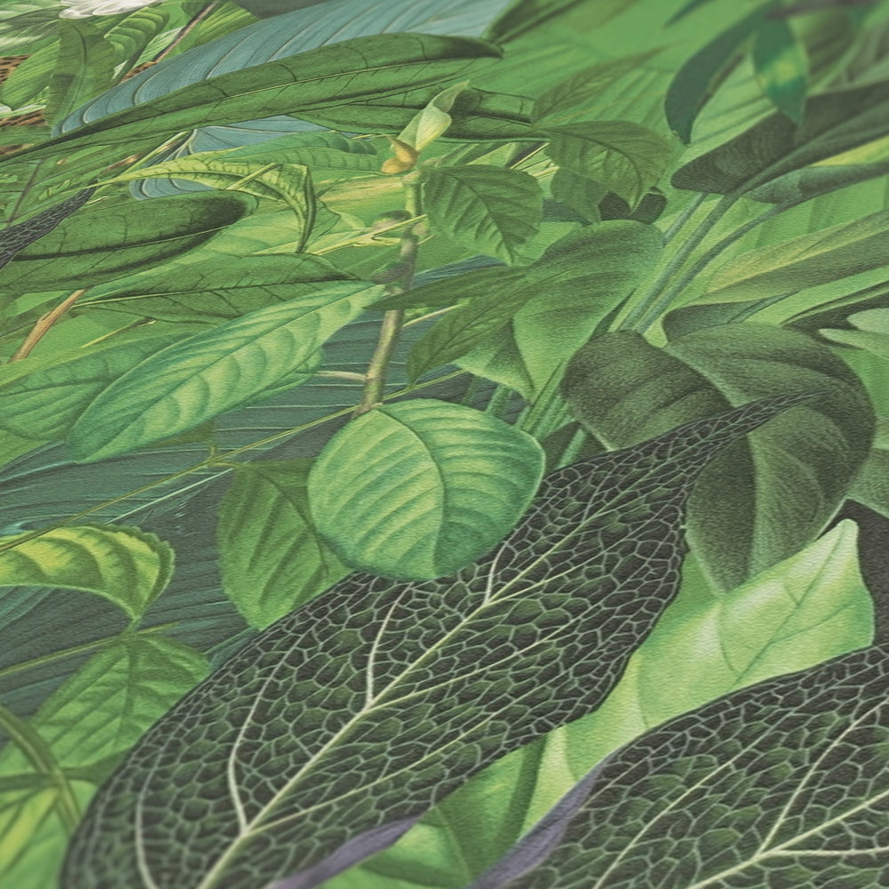             Dschungel Tapete mit Tieren, Kindermotiv – Grün
        