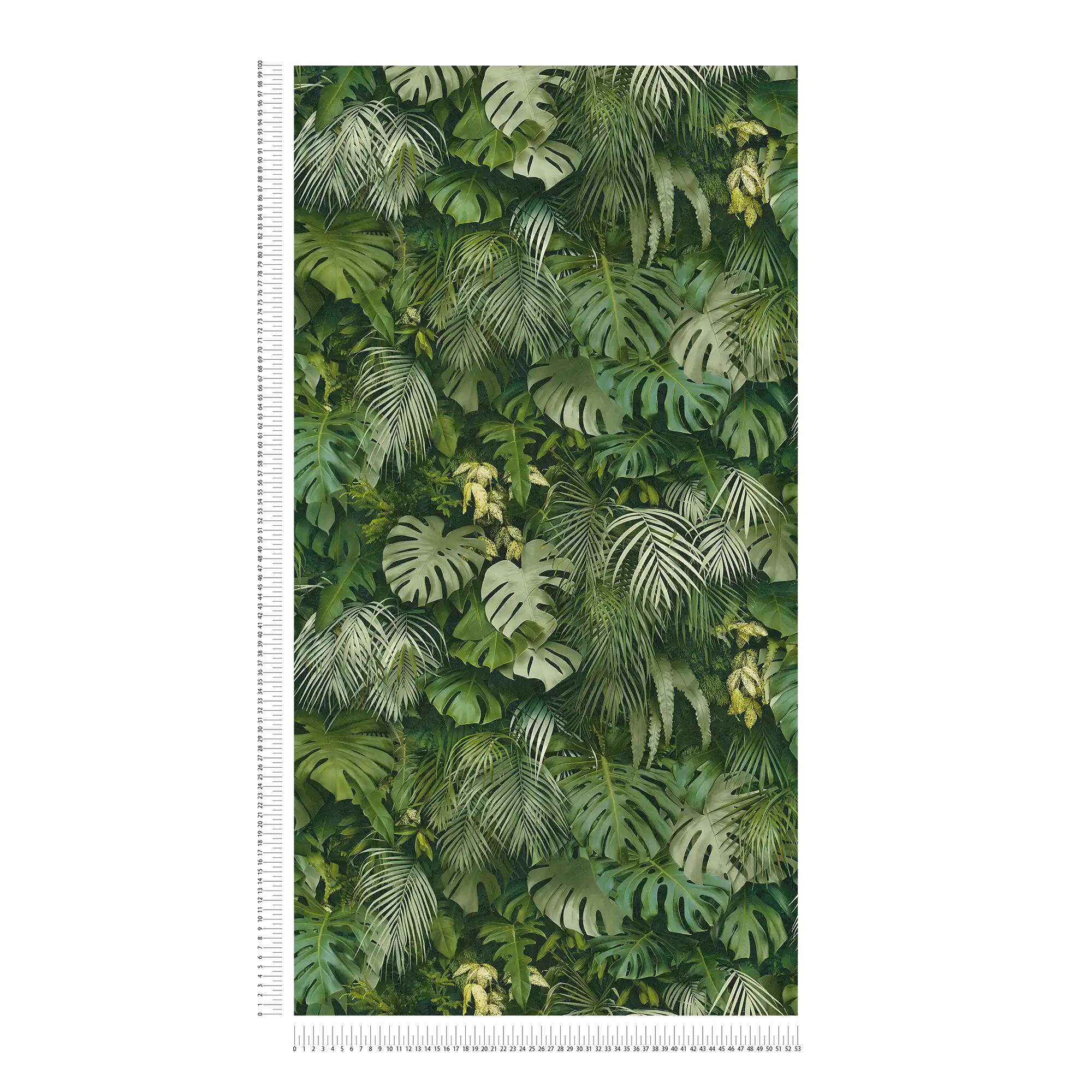             Tapete Grüner Blätterwald, realistisch, Farbakzente – Grün
        