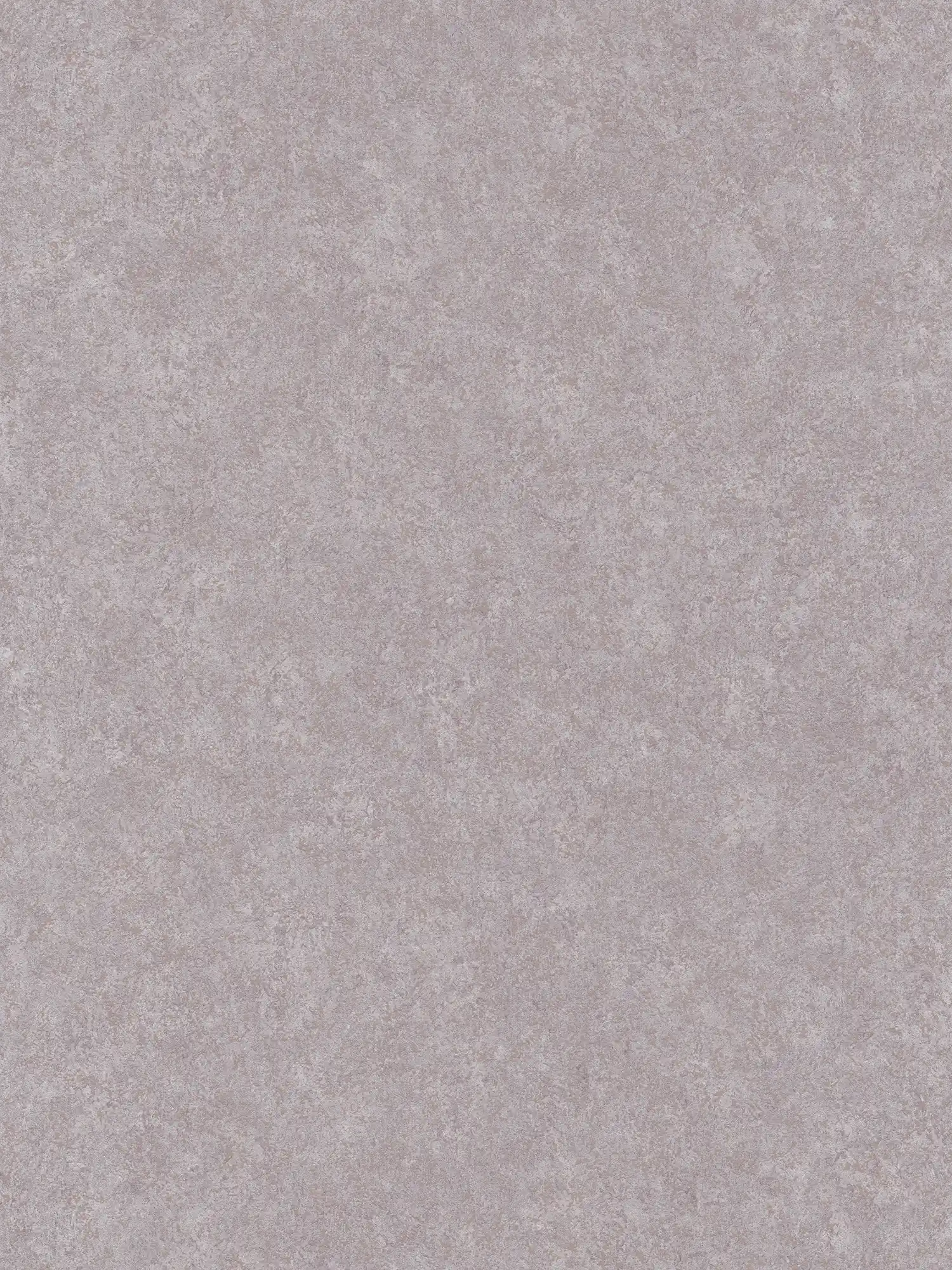         Neutrale Putzoptik Tapete mit matter Oberfläche – Grau
    