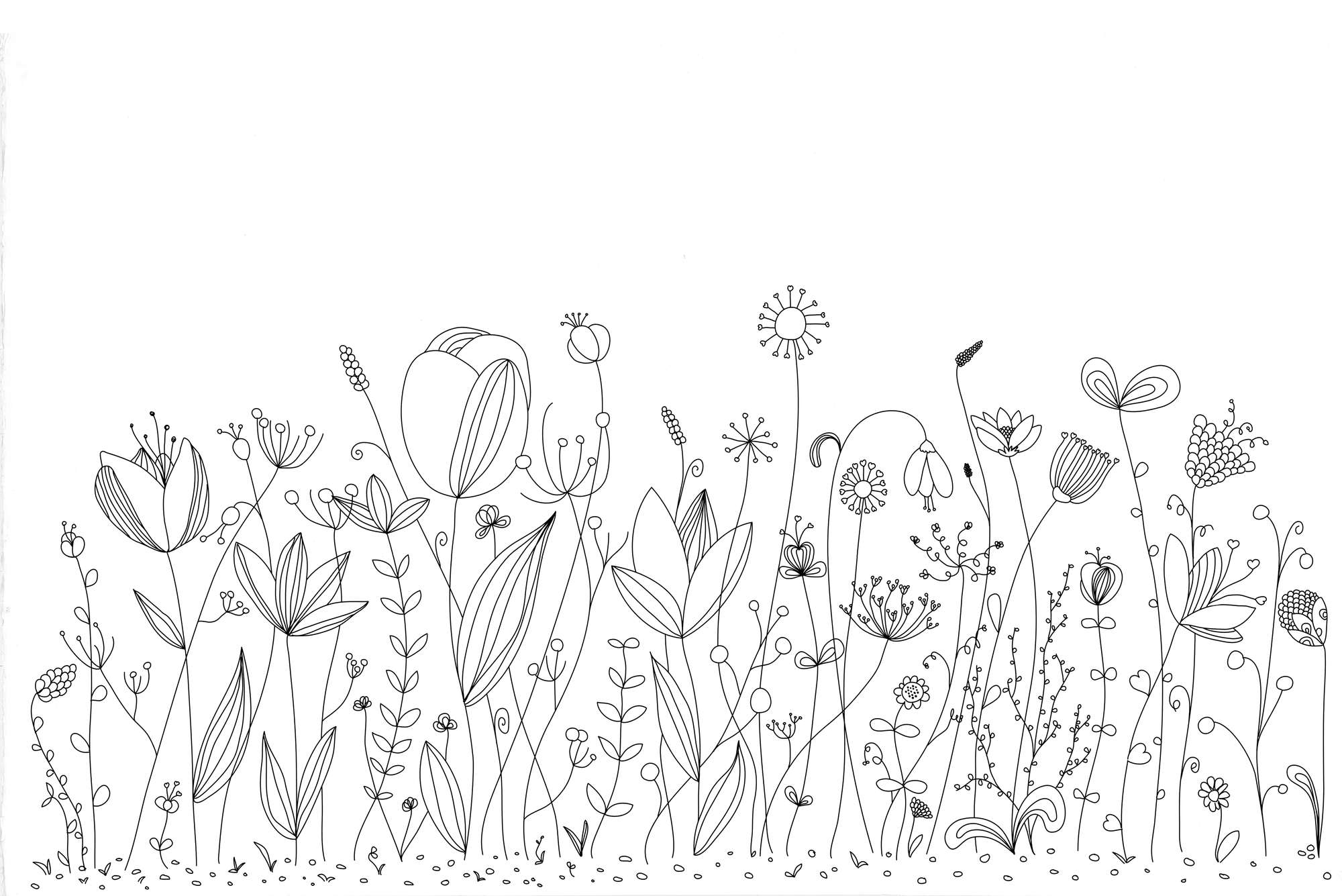             Kinder Fototapete mit schwarz weiß gezeichneten Blumen auf Perlmutt Glattvlies
        