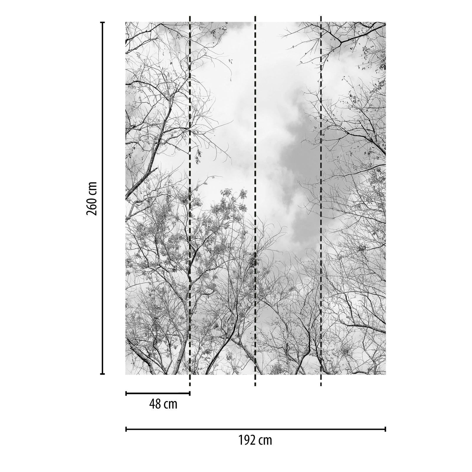             Schwarz-Weiß Fototapete Bäume & Himmel, Hochformat
        