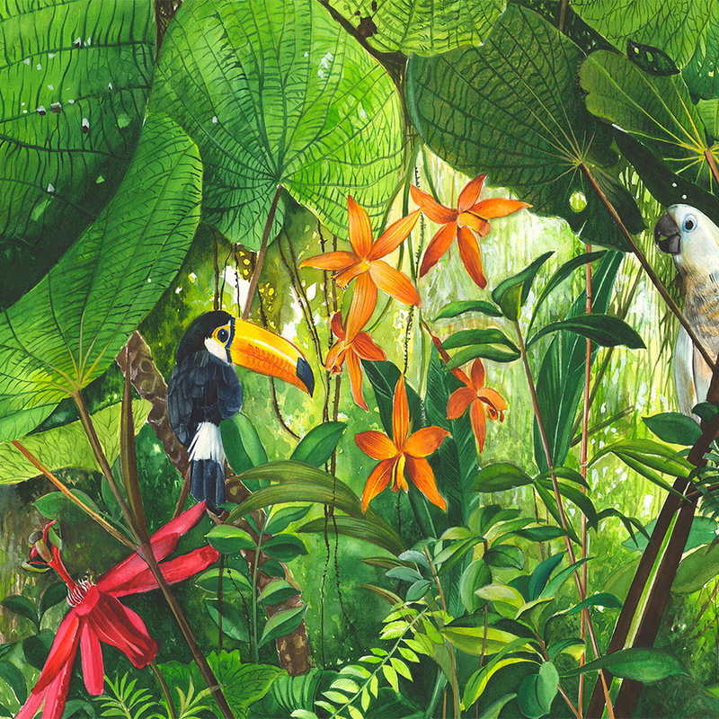         Fototapete Dschungel mit Tukan – Premium Glattvlies
    