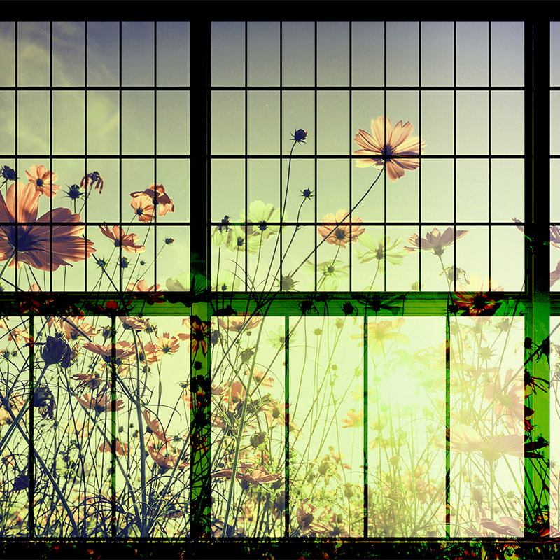 Meadow 2 - Sprossenfenster Fototapete mit Blumenwiese – Grün, Rosa | Struktur Vlies
