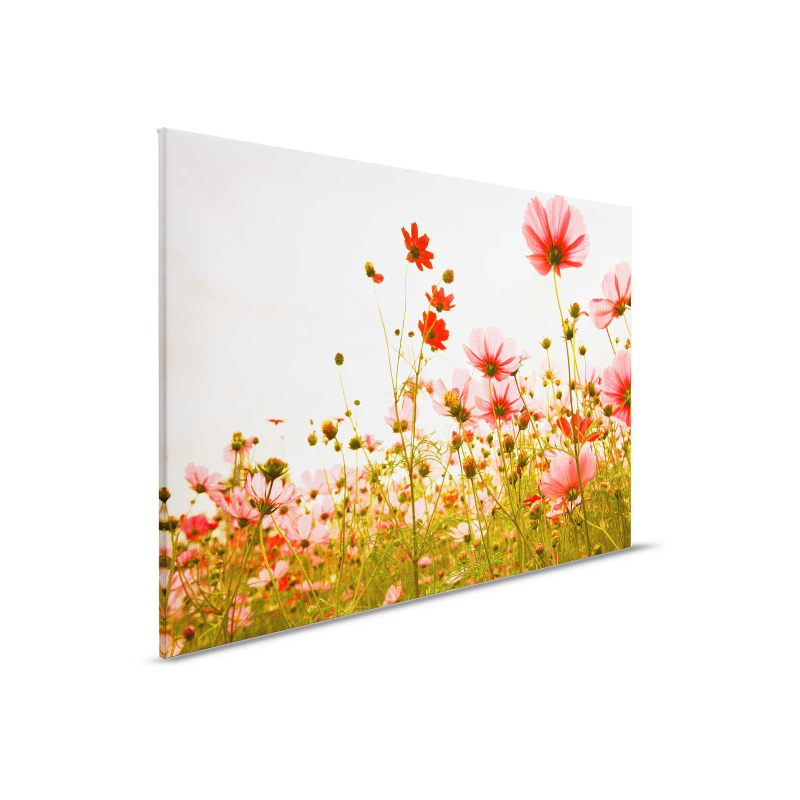         Leinwand mit Blumenwiese im Frühling | rosa, grün, weiß – 0,90 m x 0,60 m
    