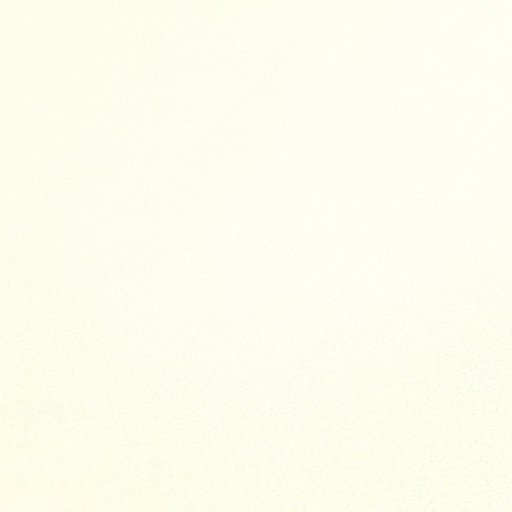             Matte Tapete unifarben Weiß mit Struktur
        