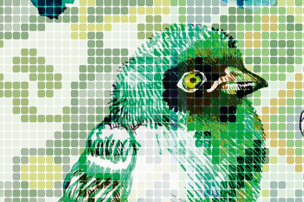             Vogel Fototapete Grün mit Mosaik Muster – Grün, Rosa
        