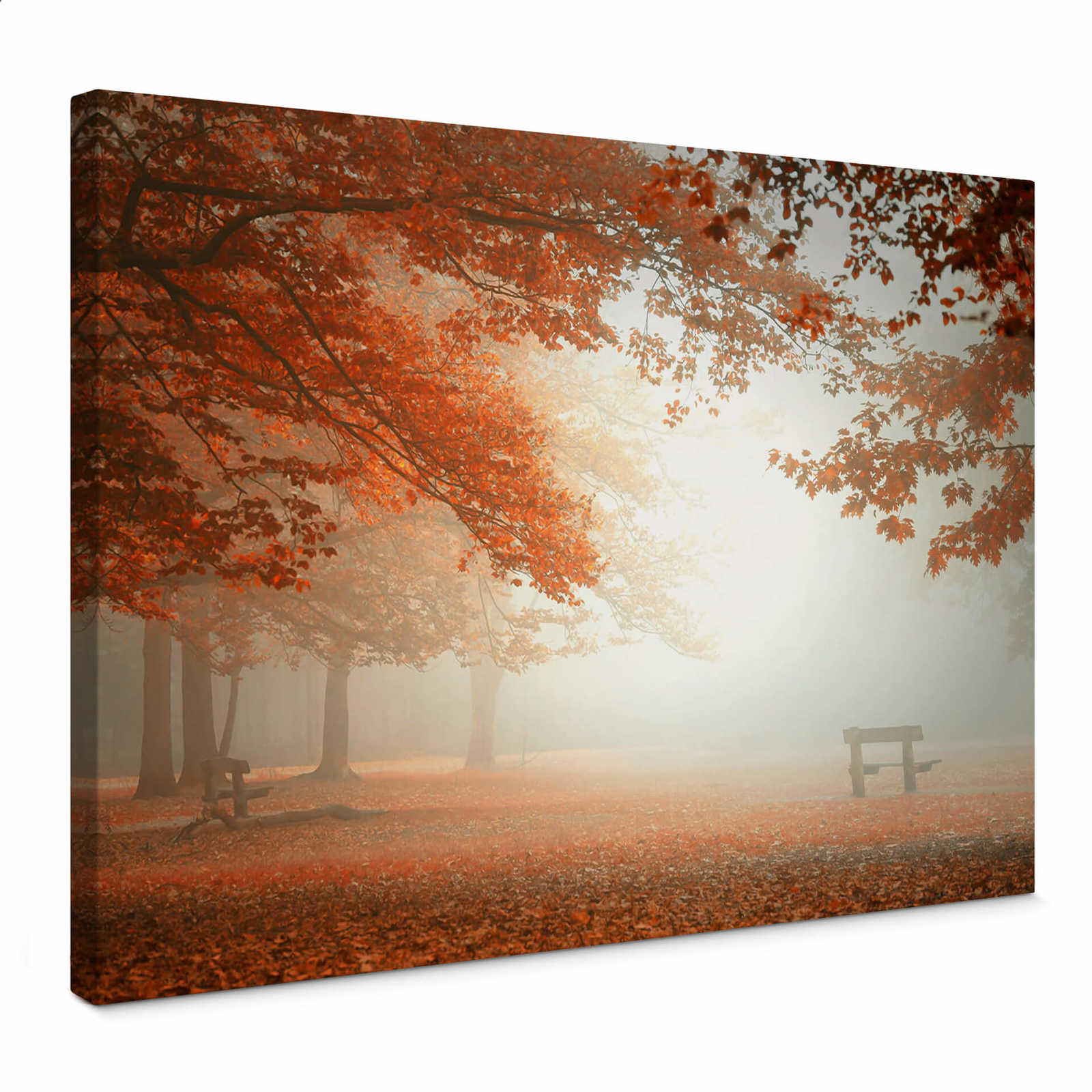             Dingemans Leinwandbild Herbstbäume und Laub im Nebel – 0,70 m x 0,50 m
        
