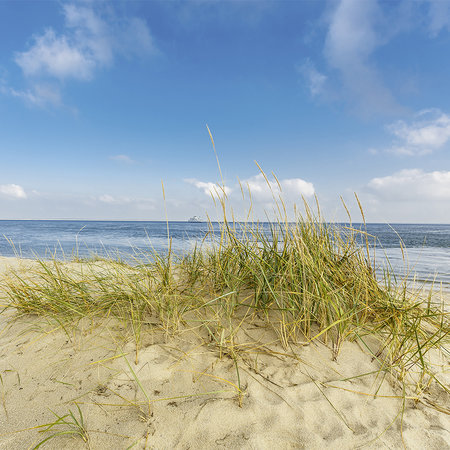         Fototapete Küstenlandschaft mit Dünenstrand
    