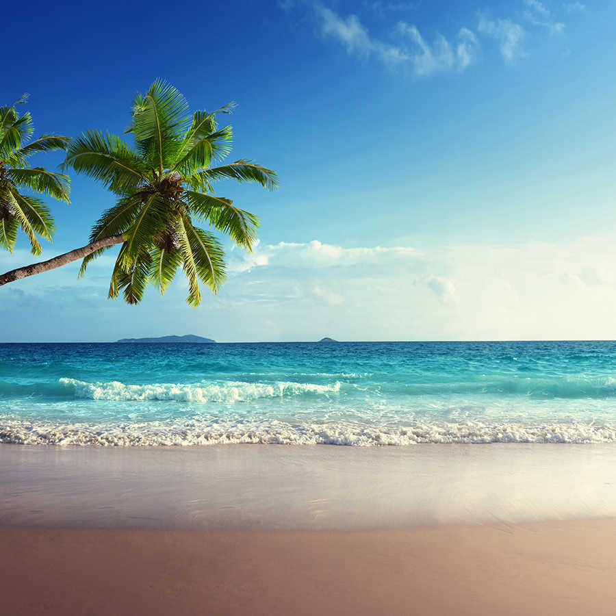 Strand Fototapete zwei Palmen an der Küste auf Premium Glattvlies
