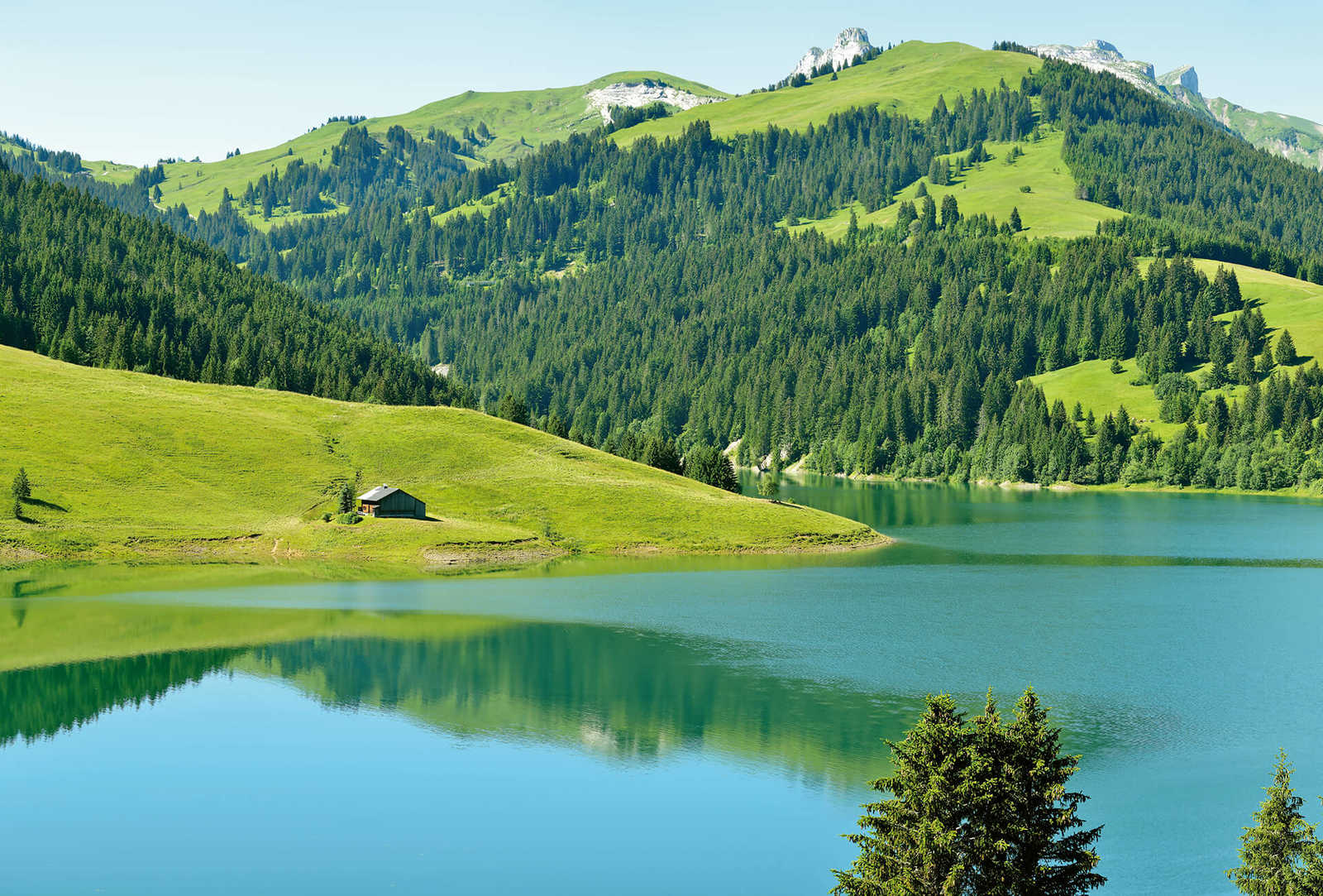 Fototapete Berg mit See in Schweiz – Grün, Blau, Grau
