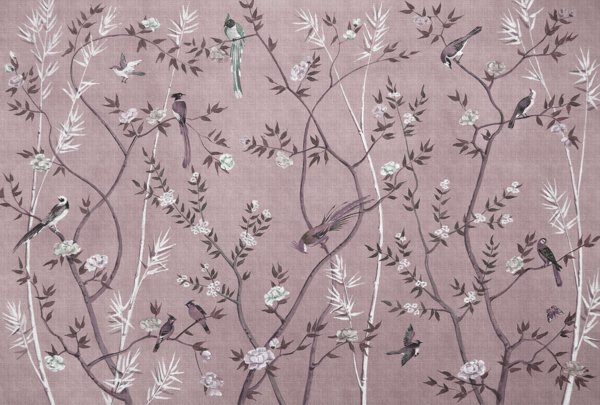             Tea Room 3 – Fototapete Vögel & Blüten Design in Rosa & Weiß
        